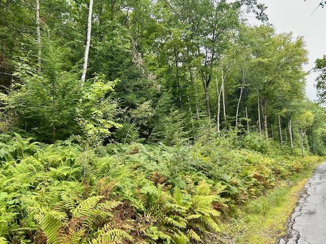 0 Bradley Hill Rd, Haverhill, NH 03785