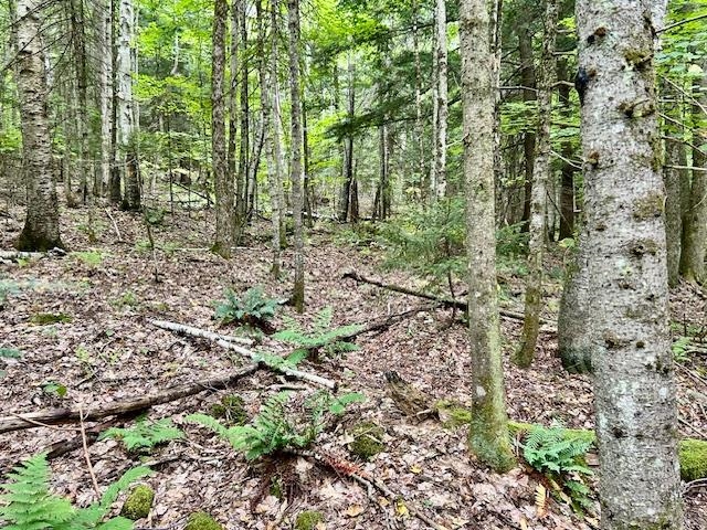 0 Bradley Hill Rd, Haverhill, NH 03785