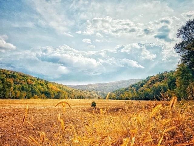 MLS #5058255 image #2