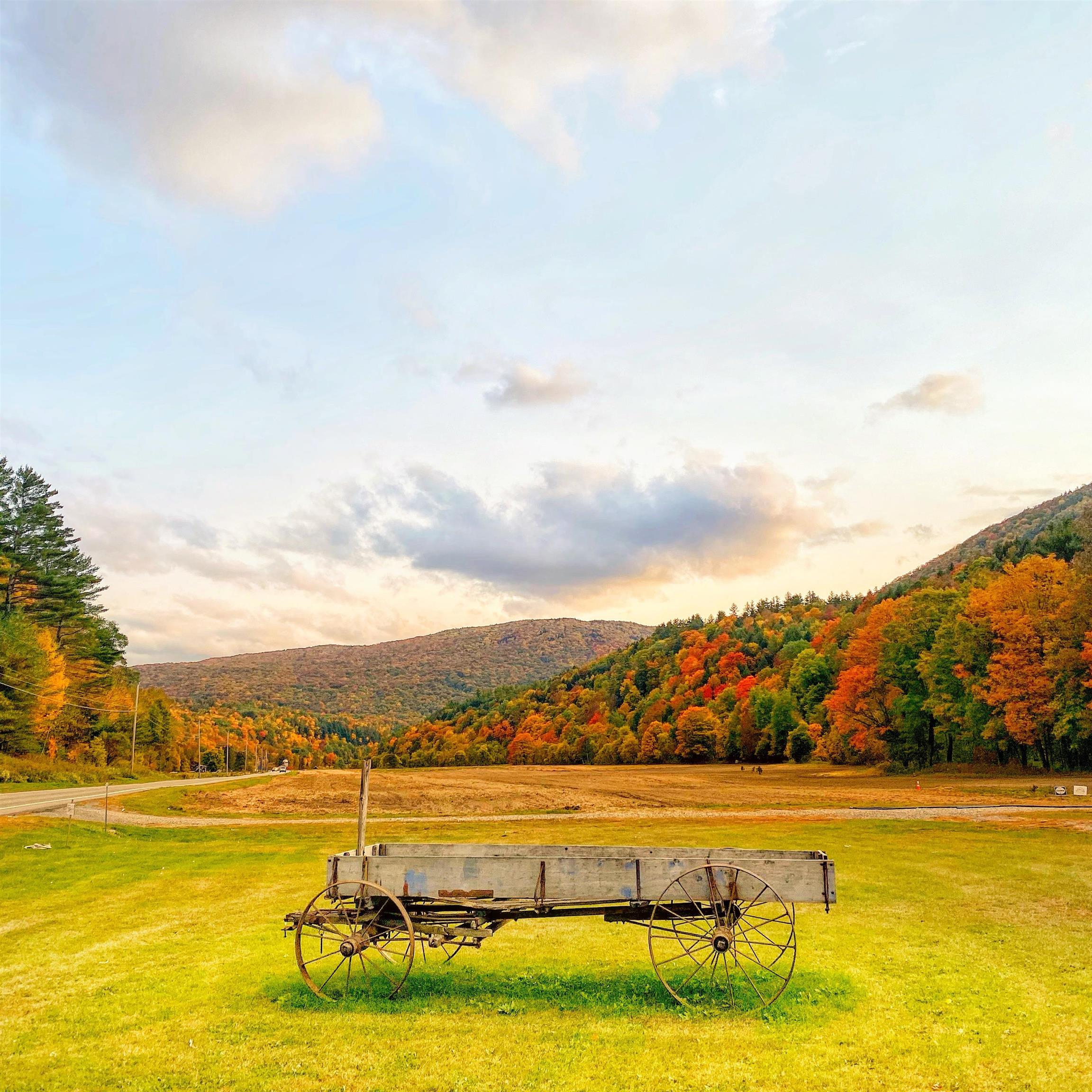 MLS #5058255 image #3