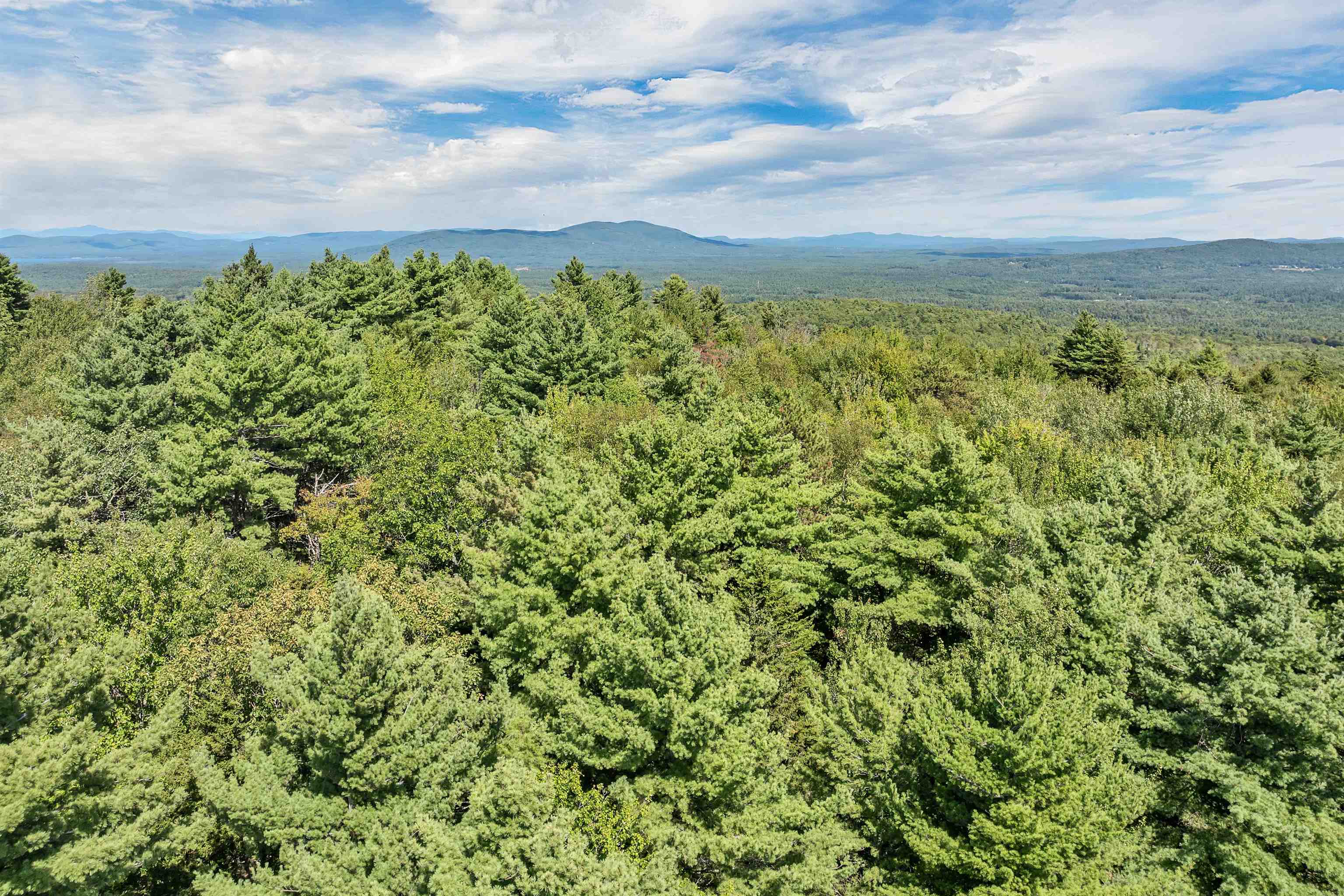 MLS #5058269 image #12