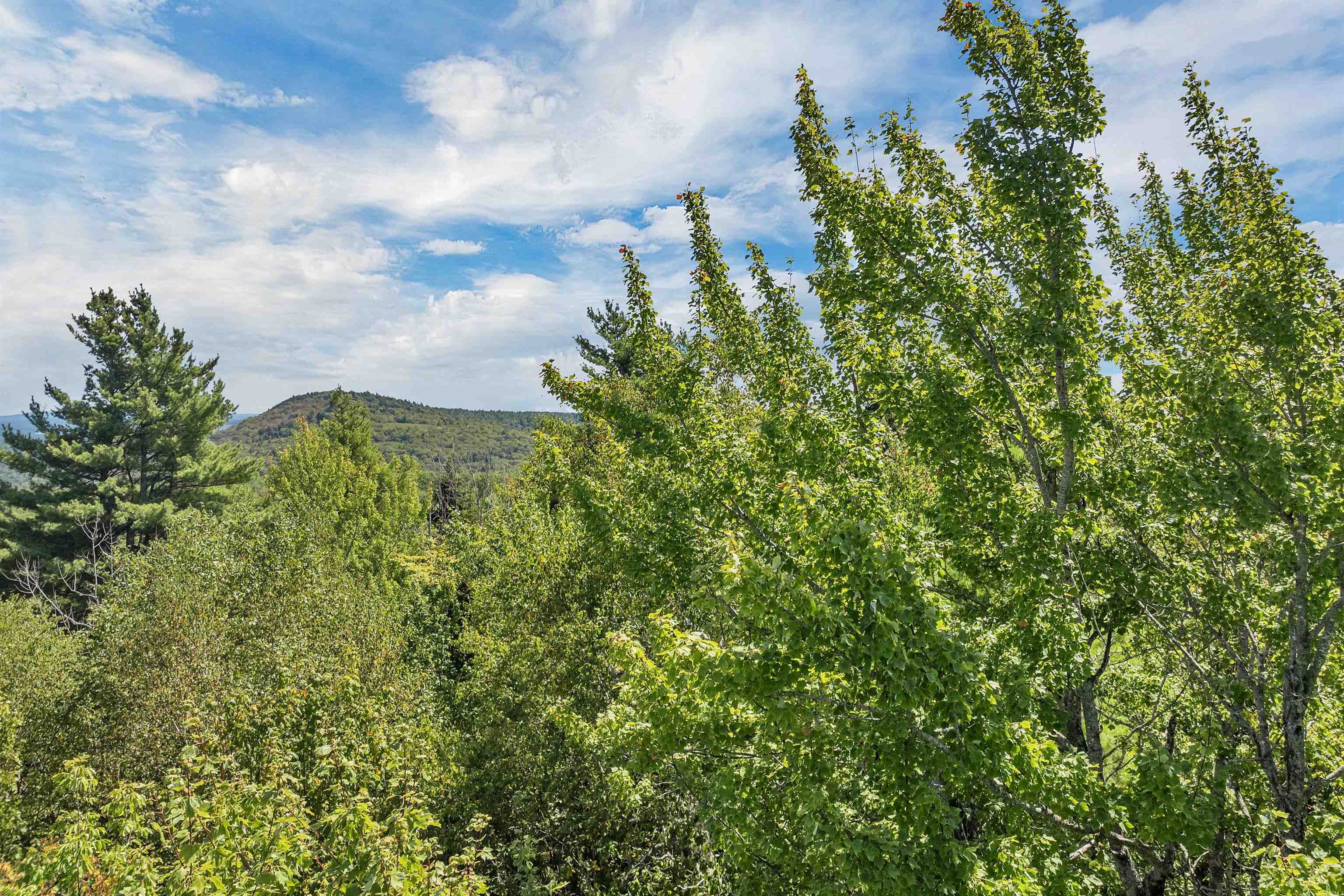 MLS #5058269 image #13