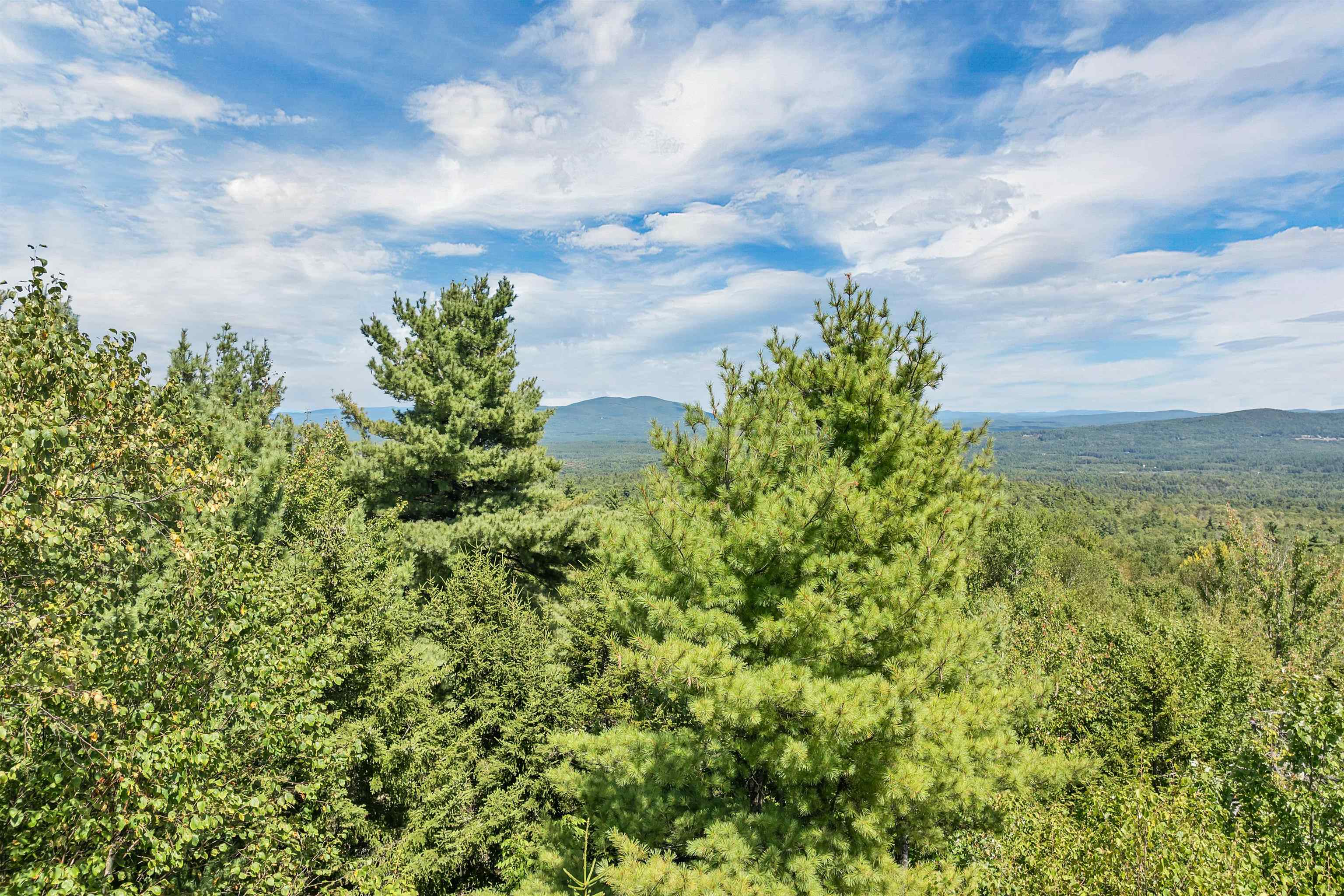 MLS #5058269 image #14