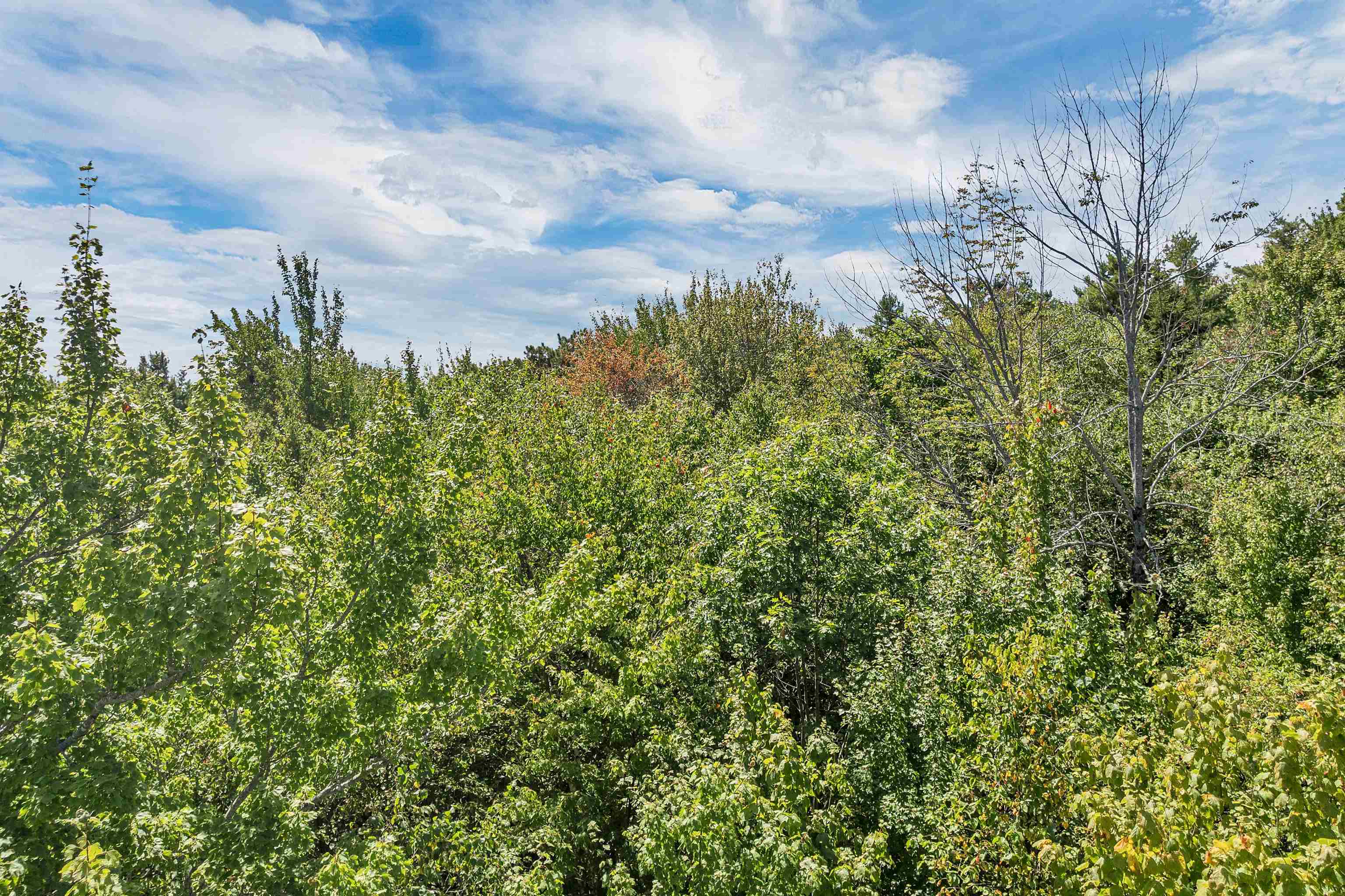 MLS #5058269 image #16