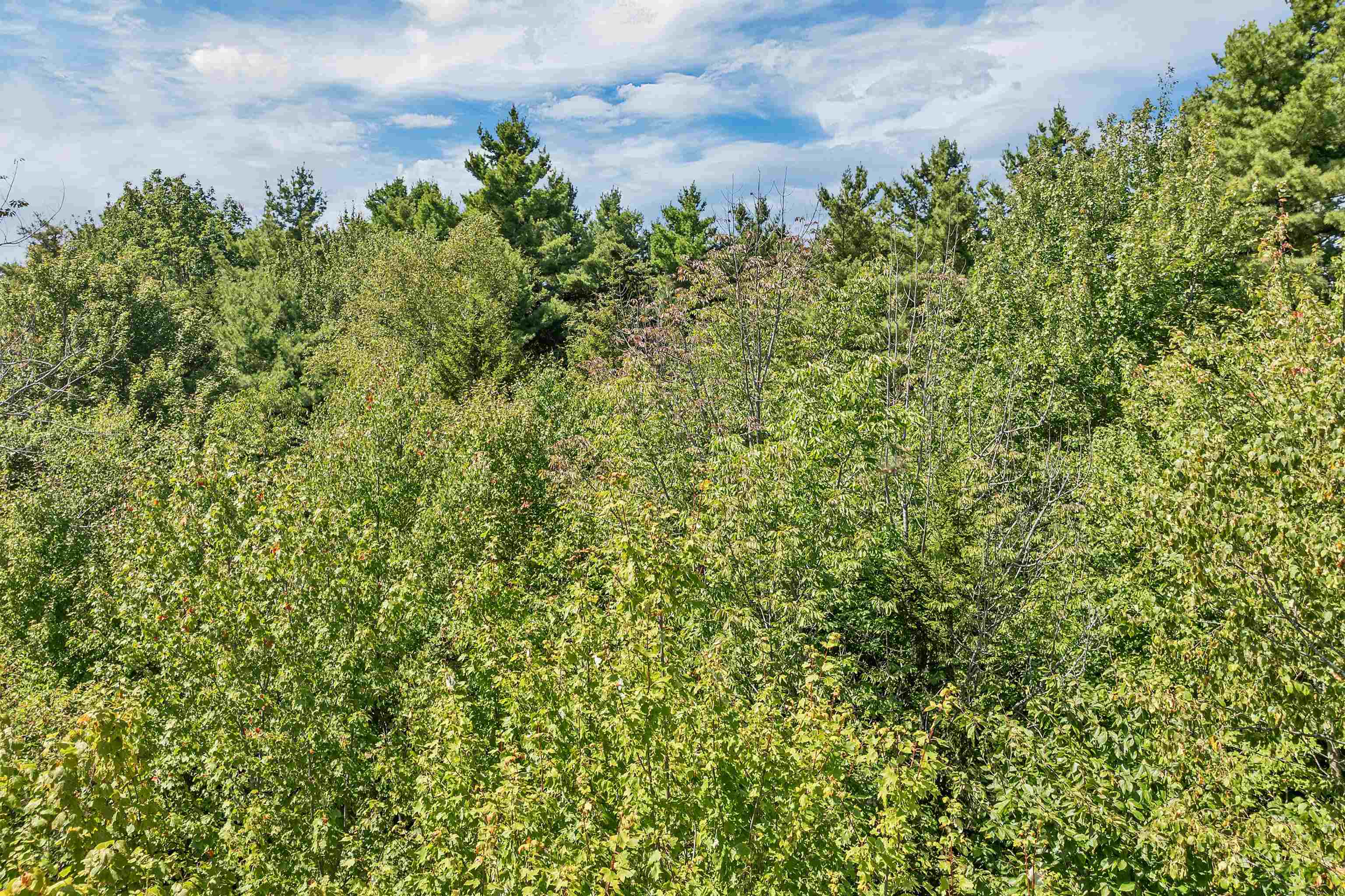 MLS #5058269 image #17