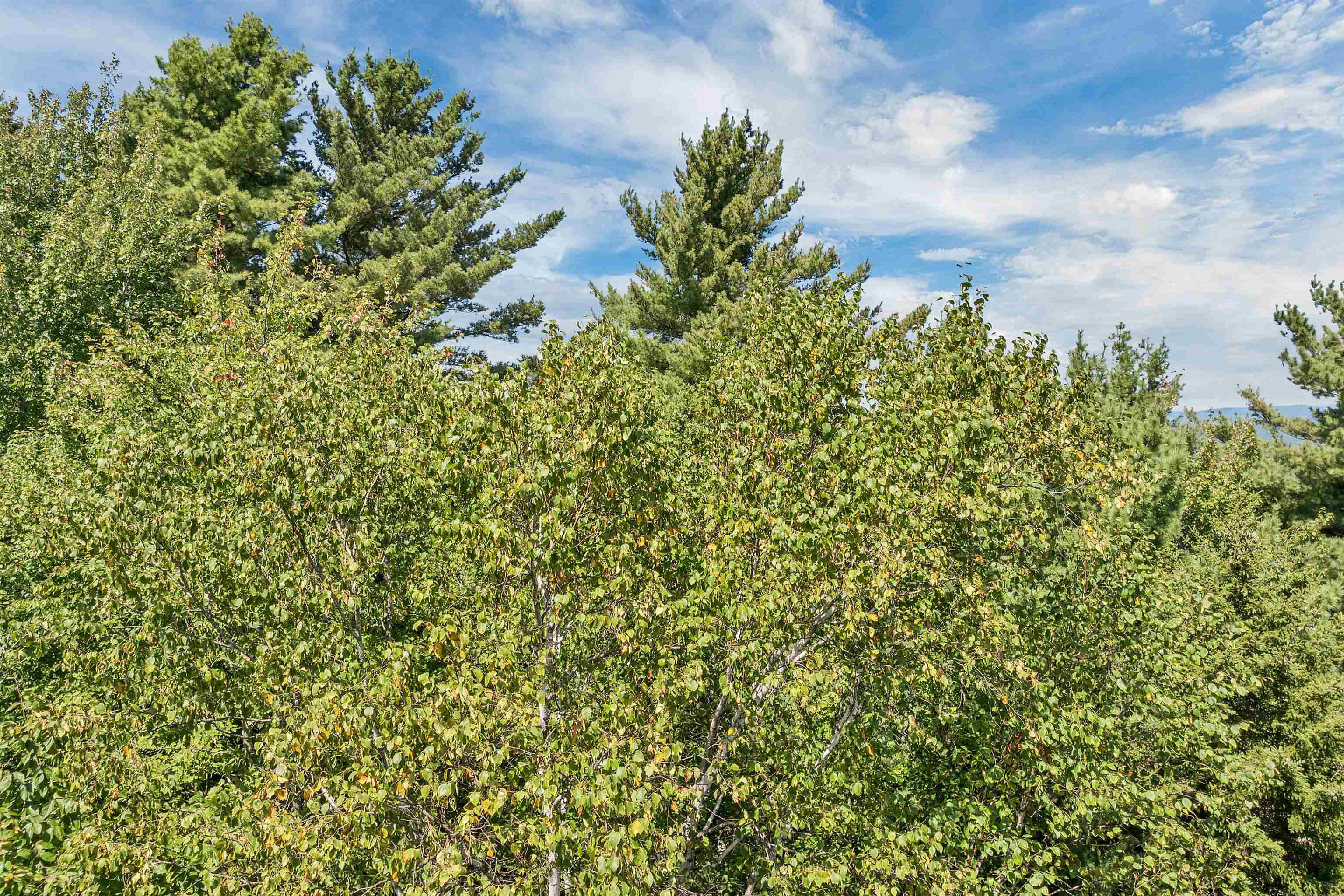 MLS #5058269 image #18