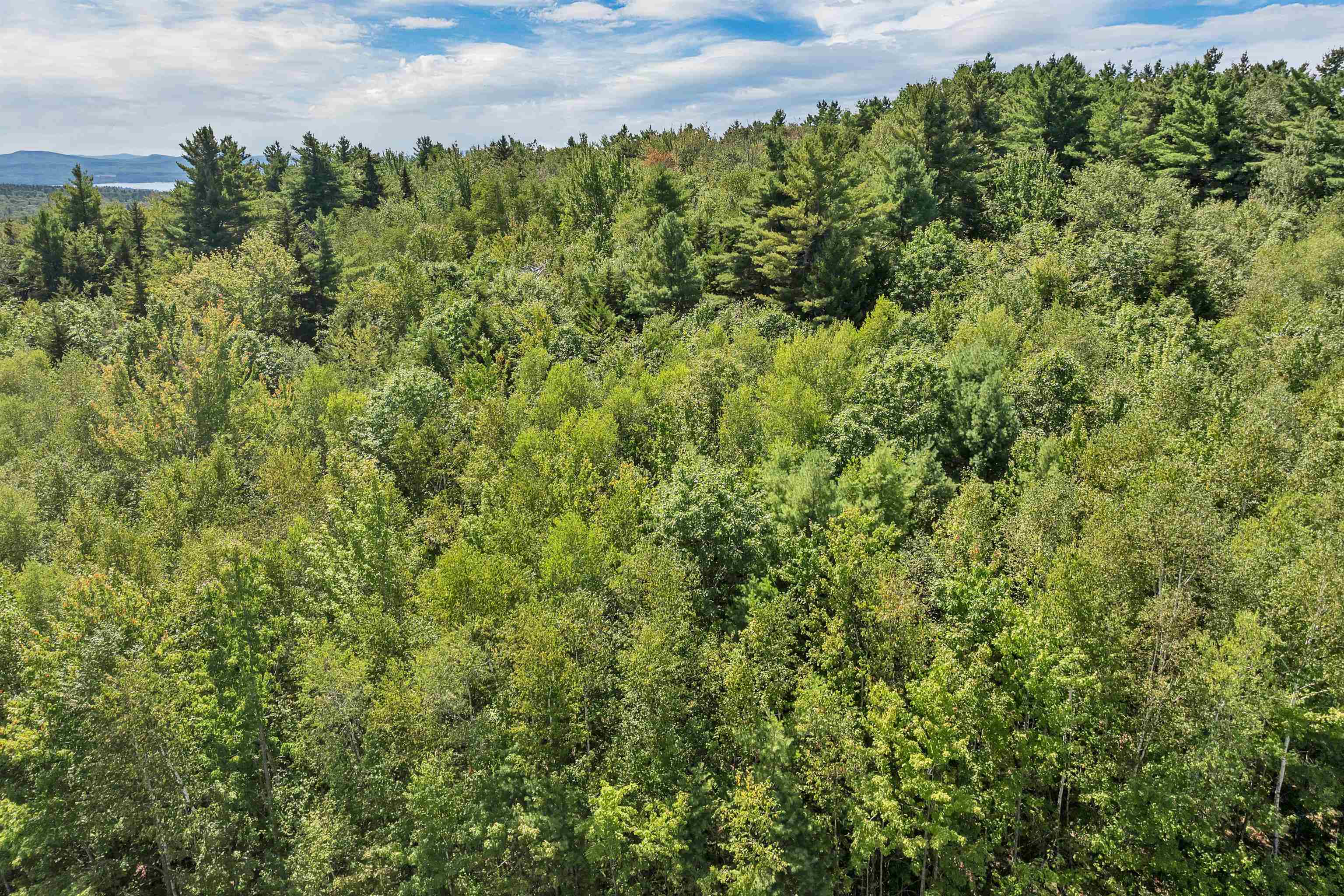 MLS #5058269 image #19