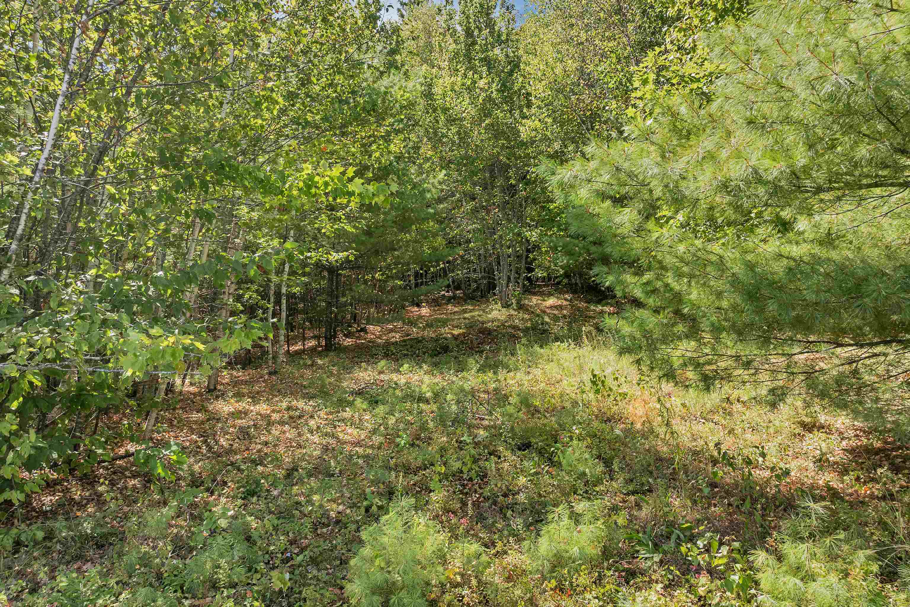 MLS #5058269 image #22