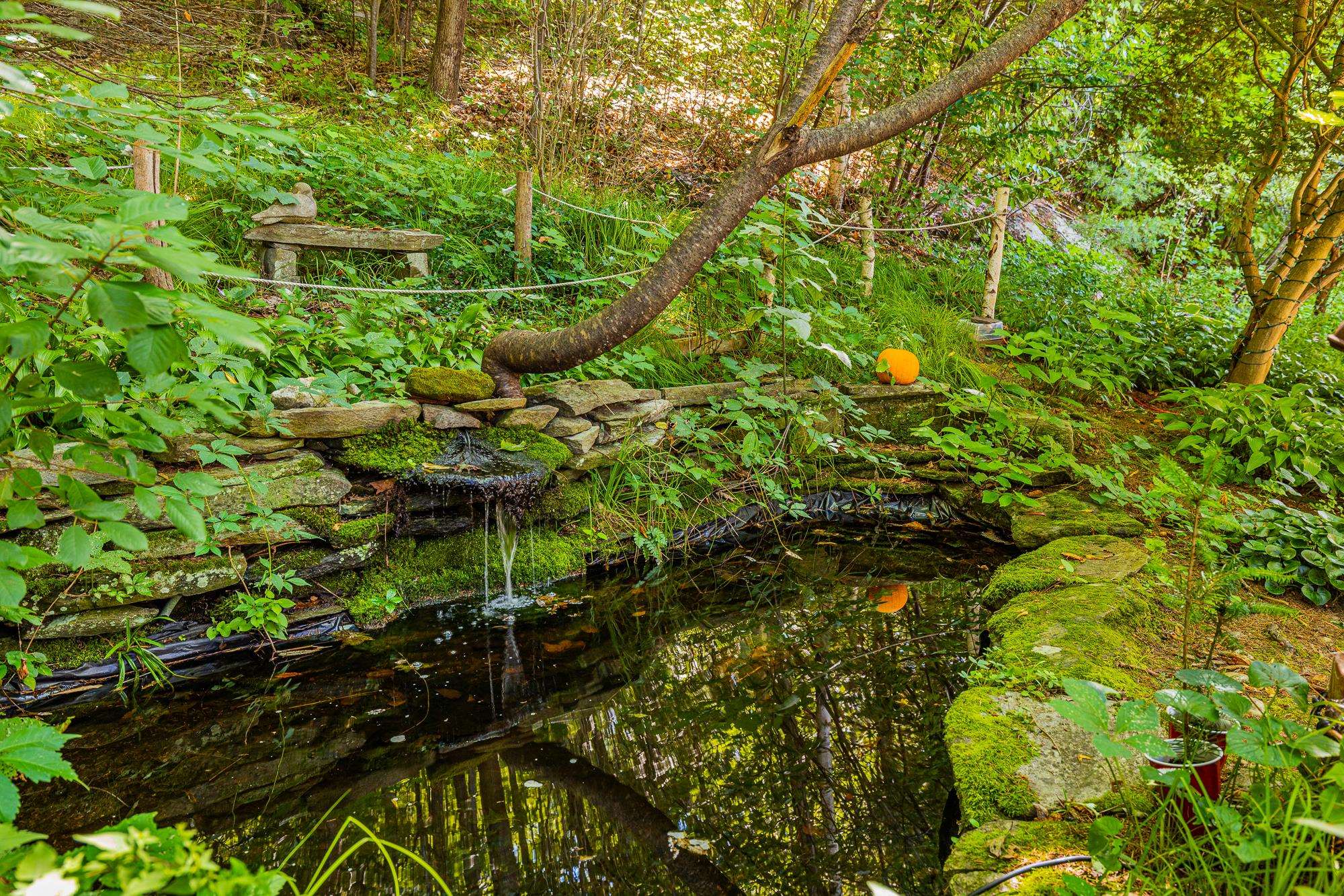 Water feature 23944681