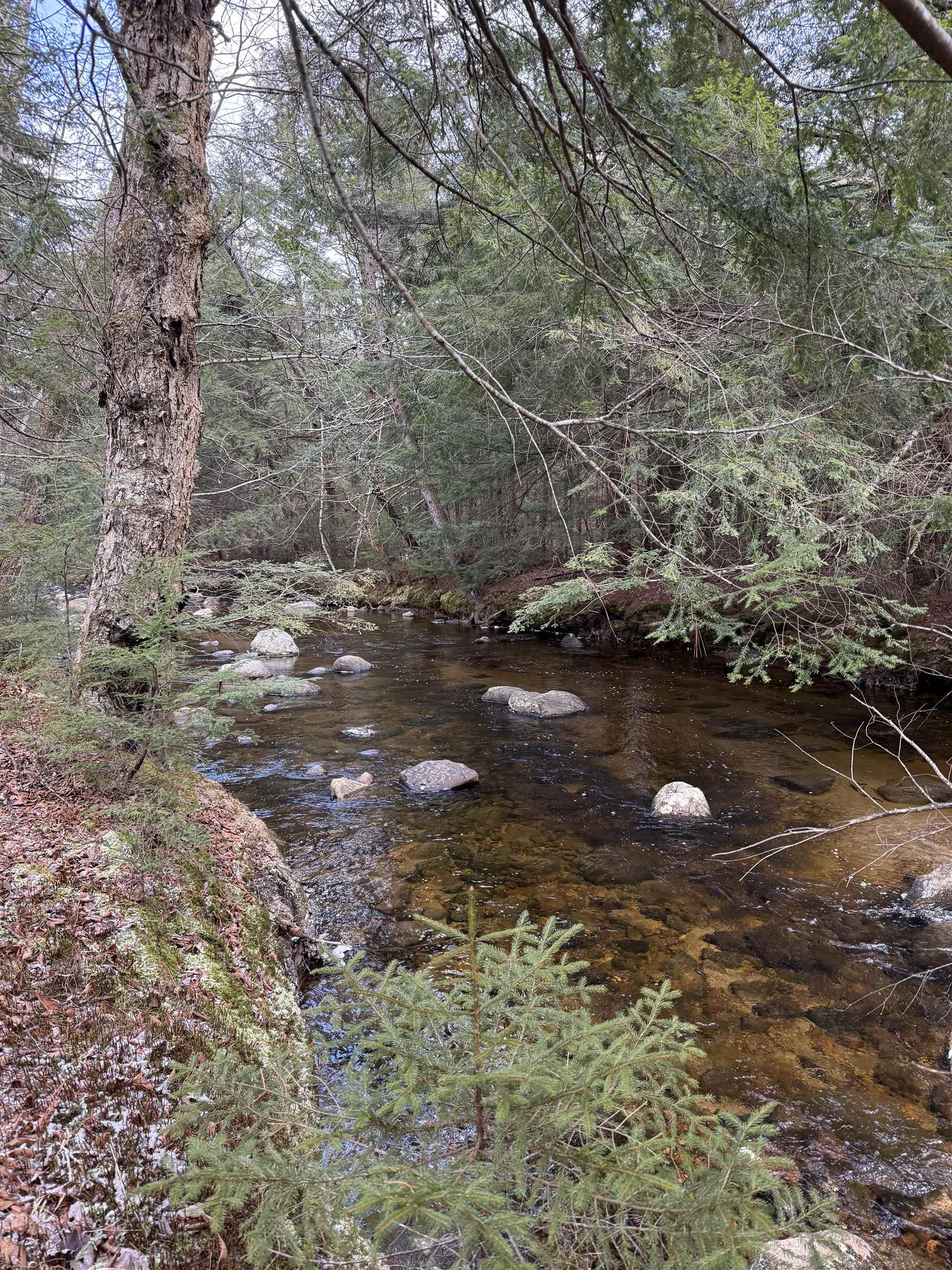 Homes for sale in Easton, NH | 0 Easton Valley Rd, Easton, NH 03580 | MLS# 5058453