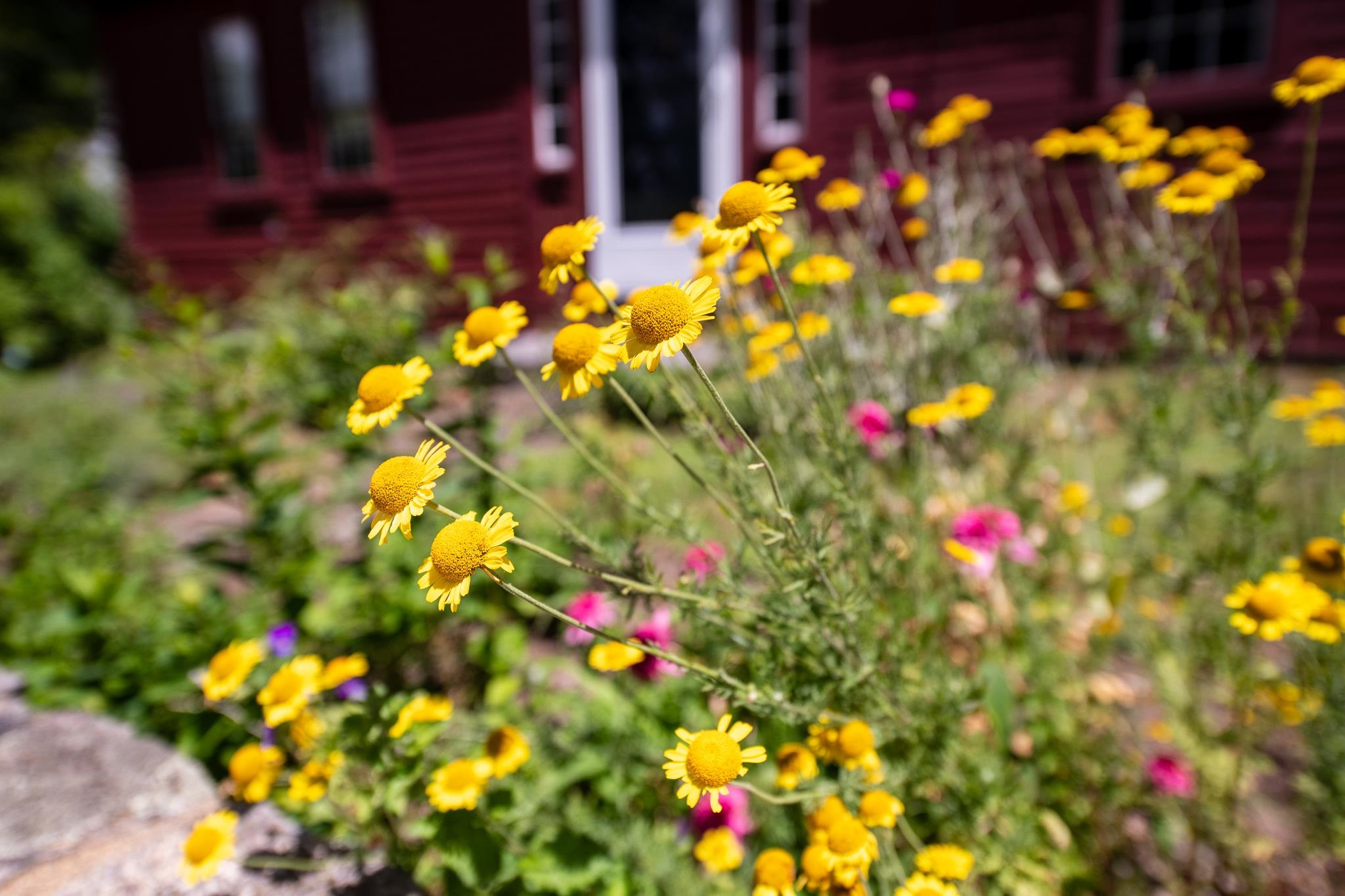 MLS #5058475 image #41