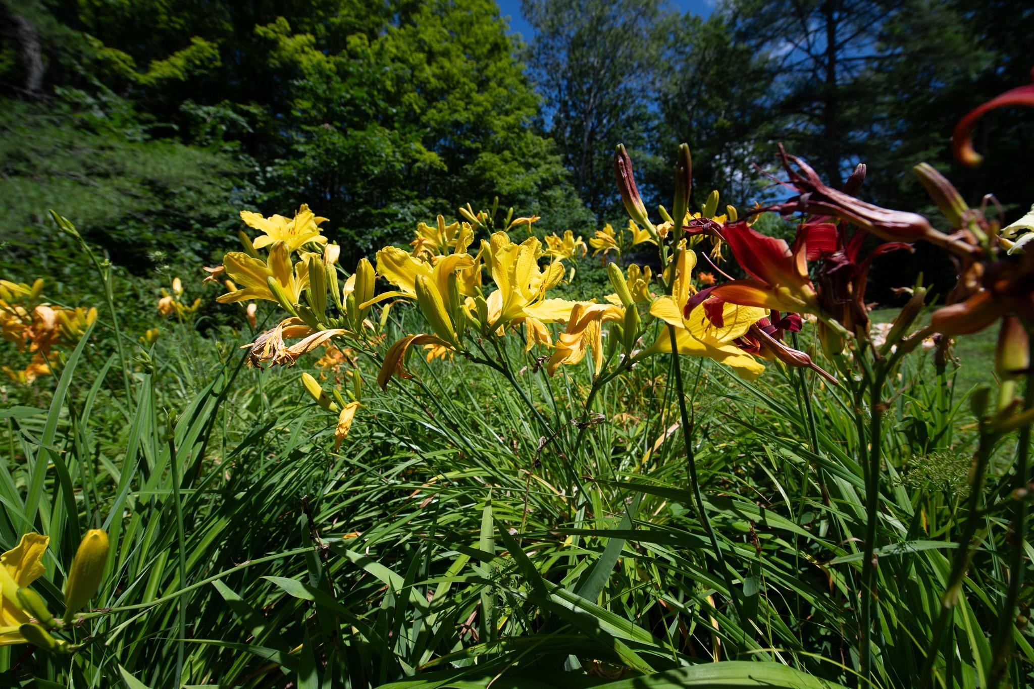 MLS #5058475 image #46