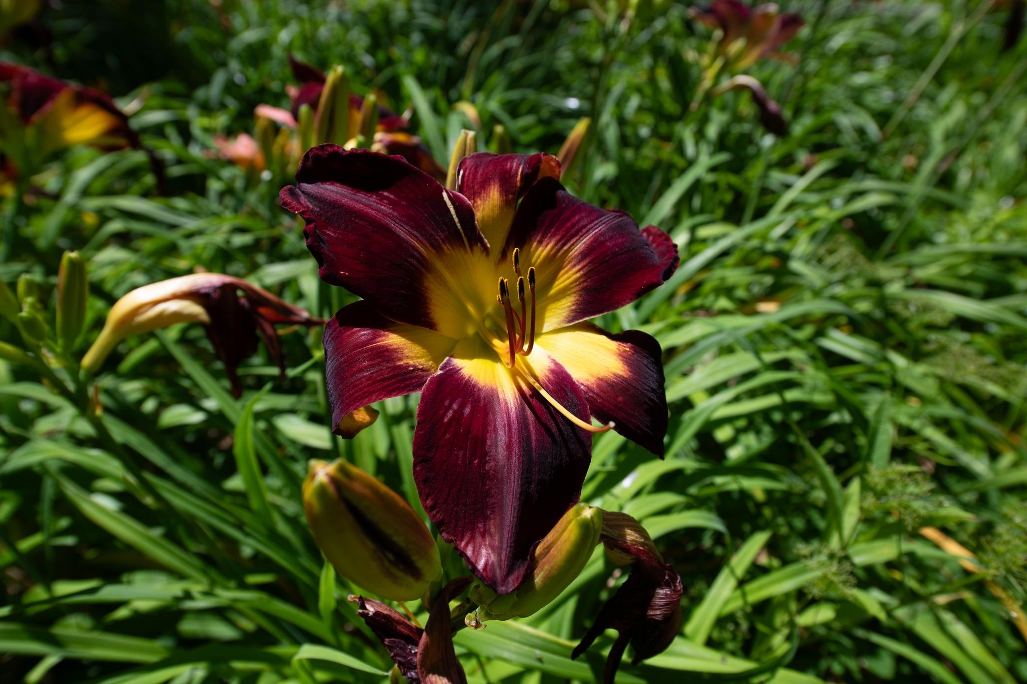 MLS #5058475 image #47