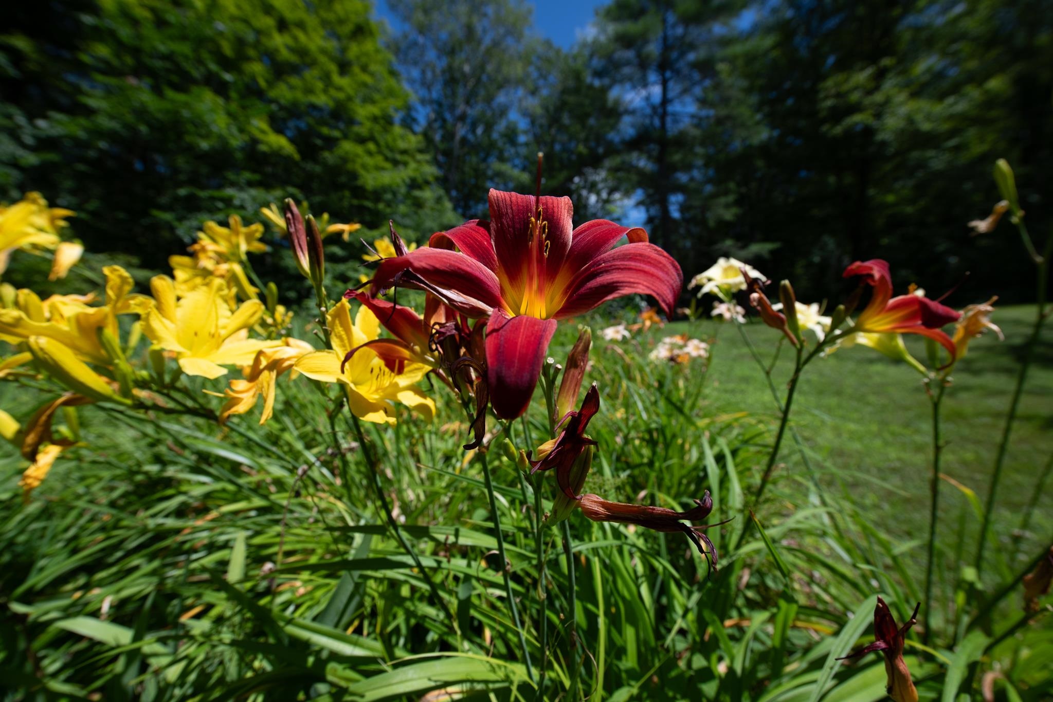 MLS #5058475 image #48