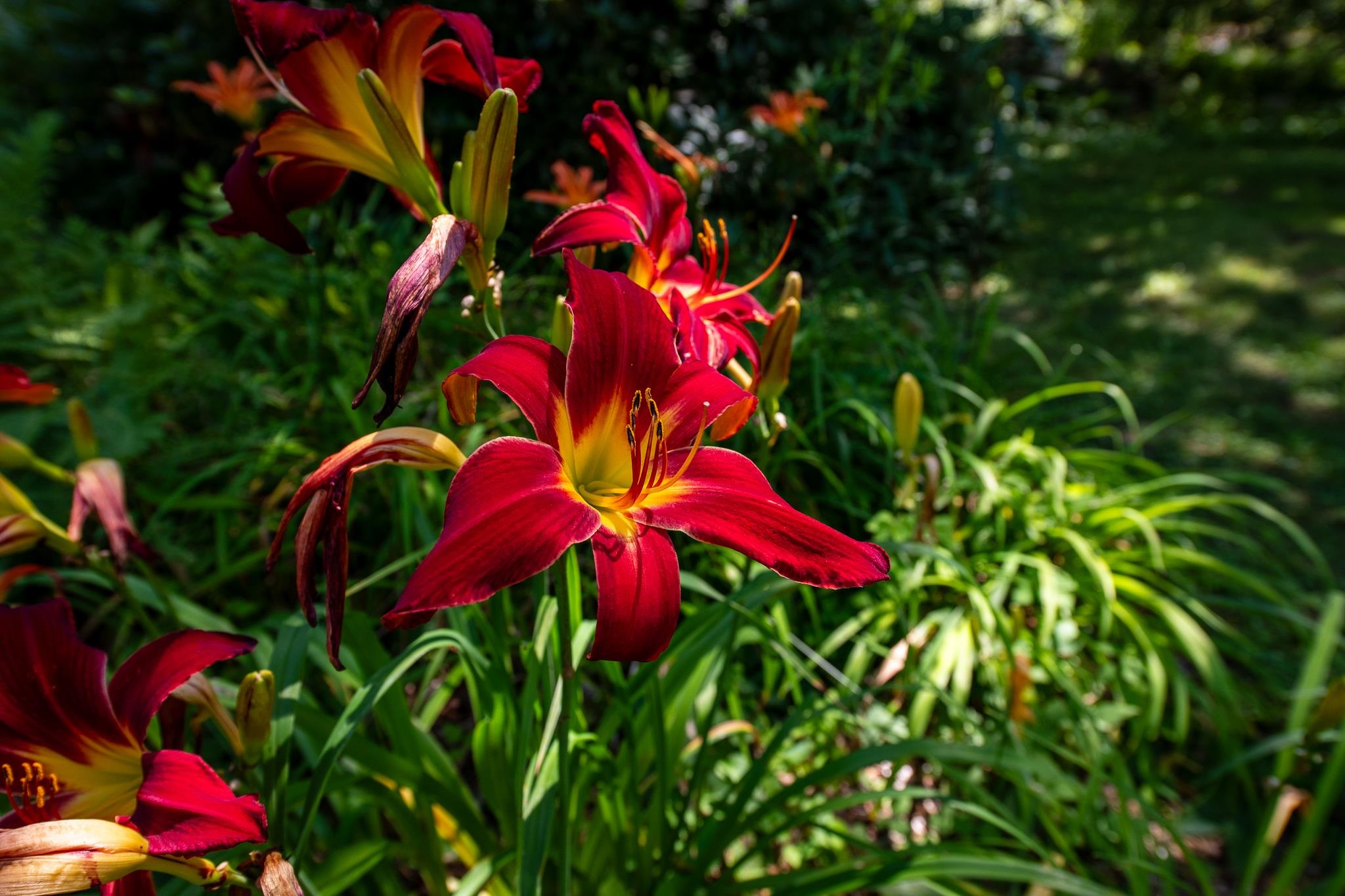 MLS #5058475 image #49