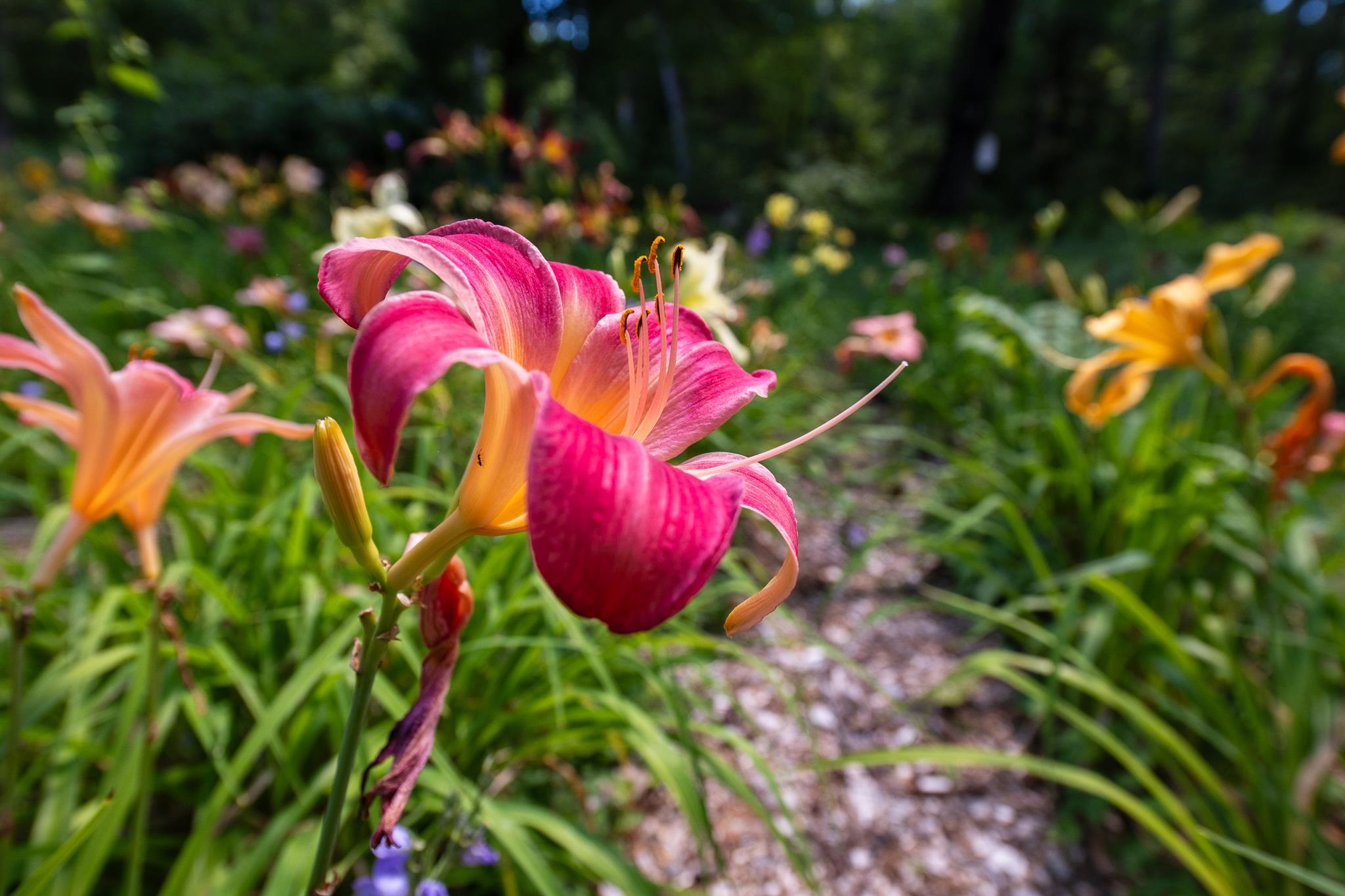 MLS #5058475 image #53