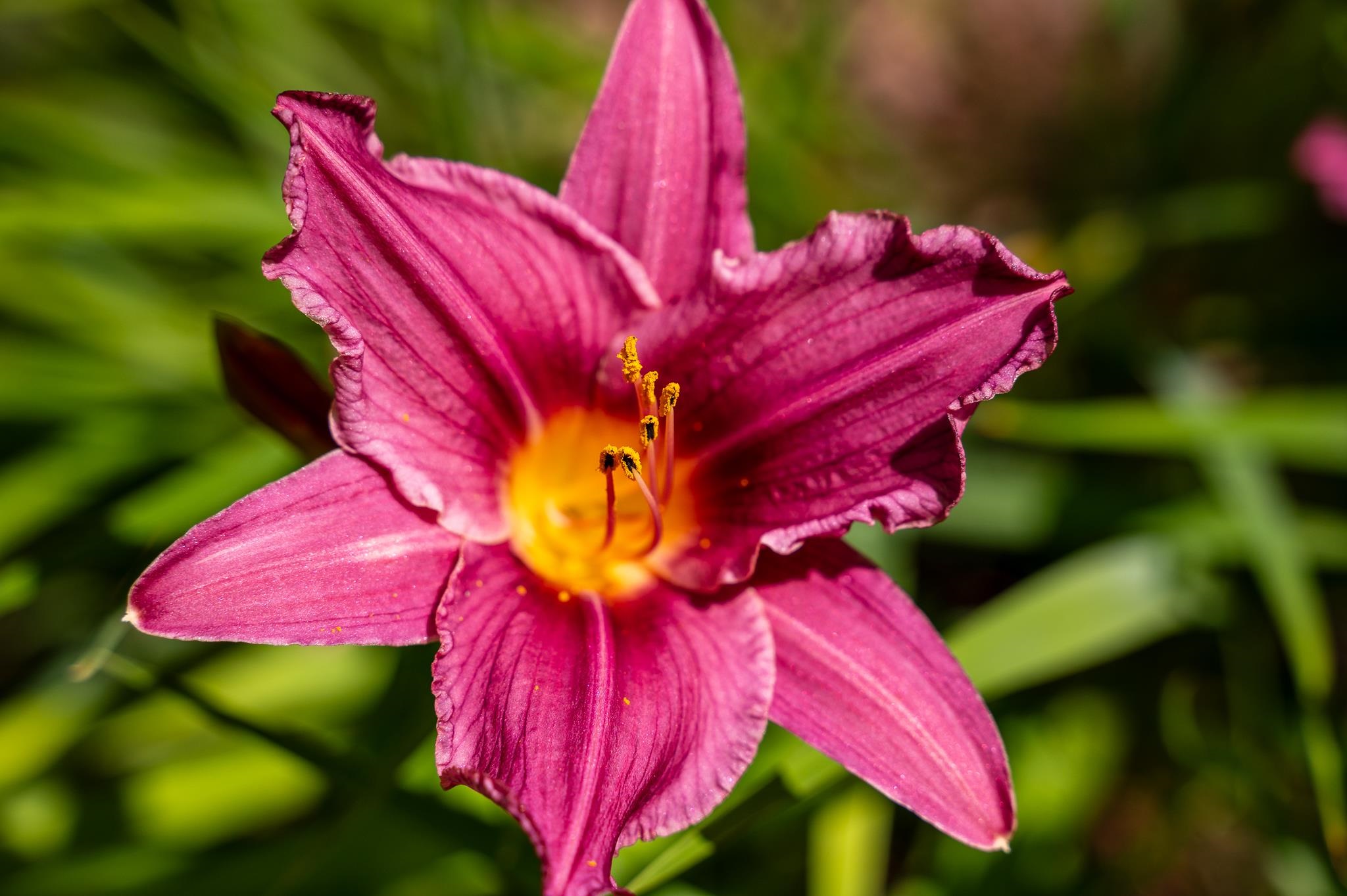 MLS #5058475 image #56