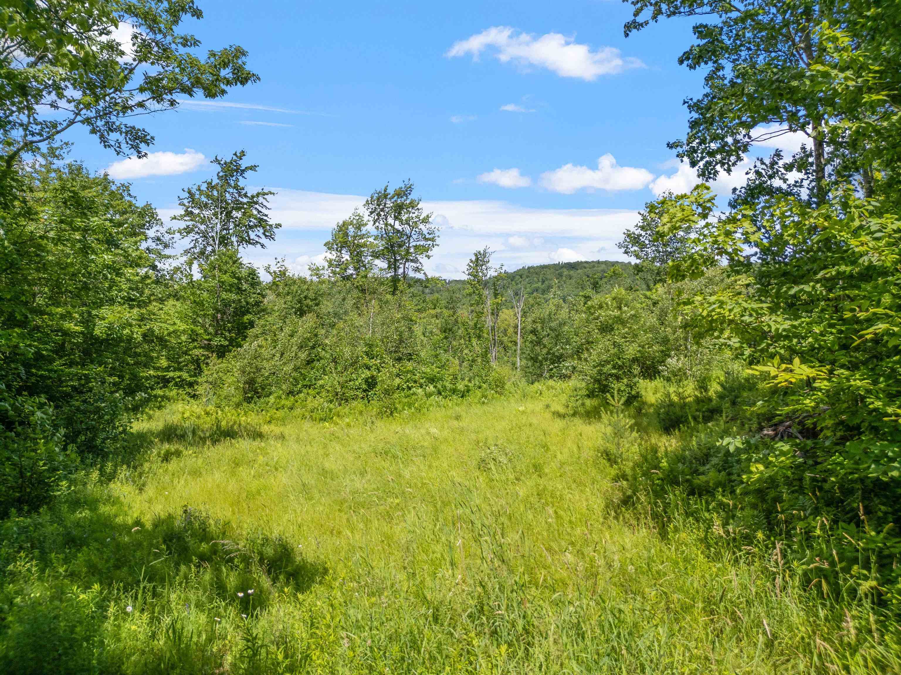 MLS #5058478 image #3