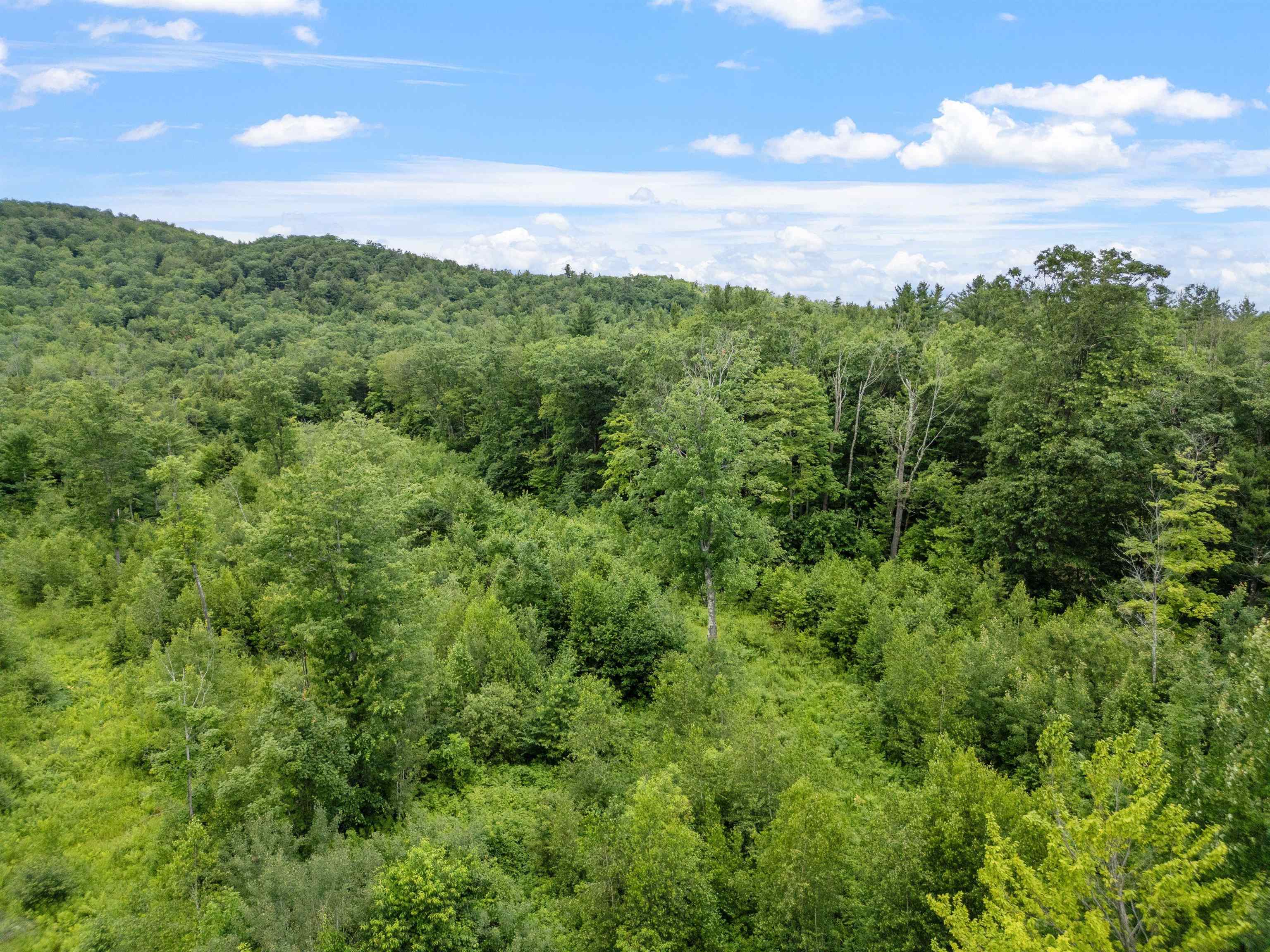 MLS #5058478 image #6