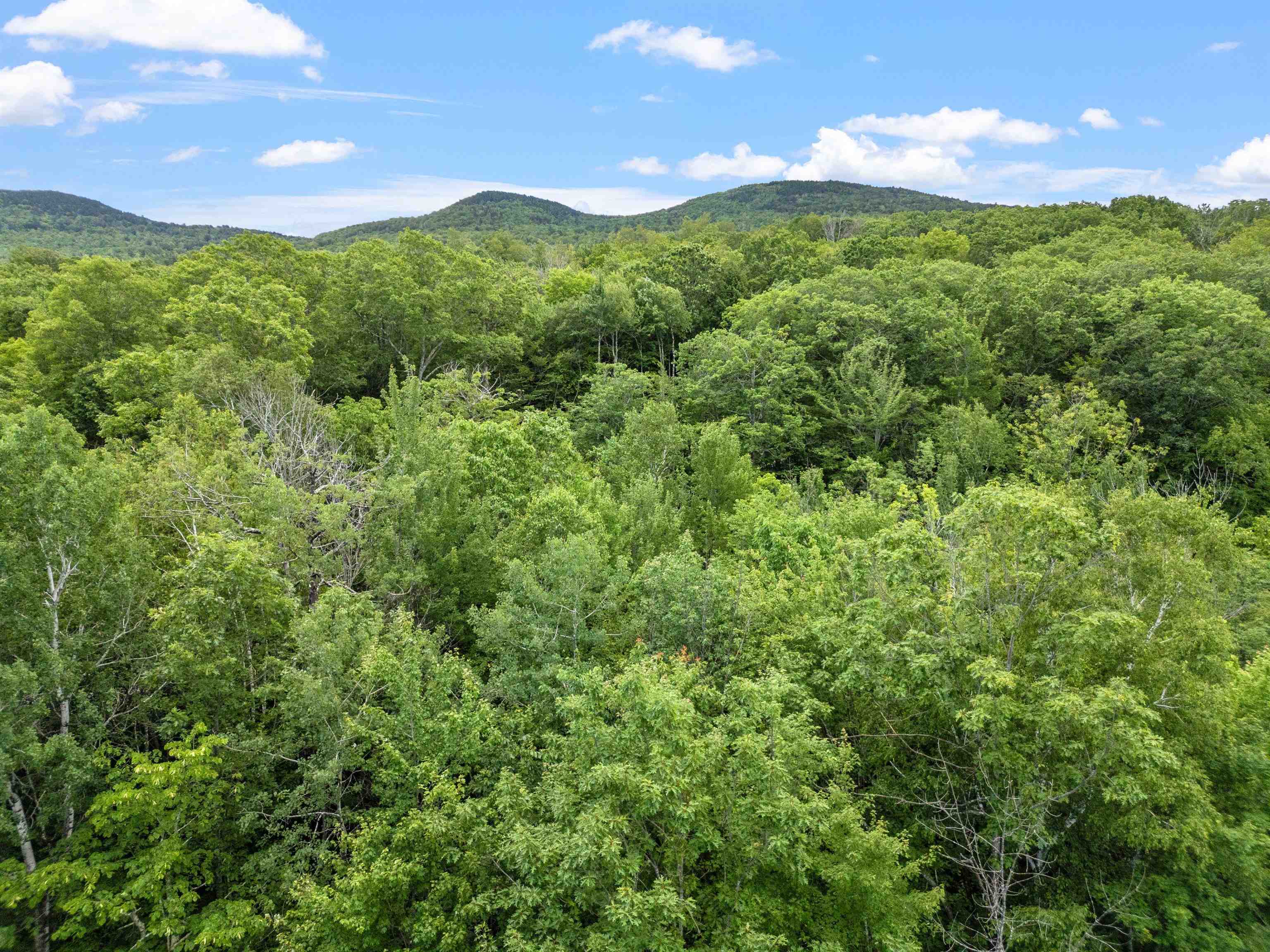 MLS #5058478 image #7