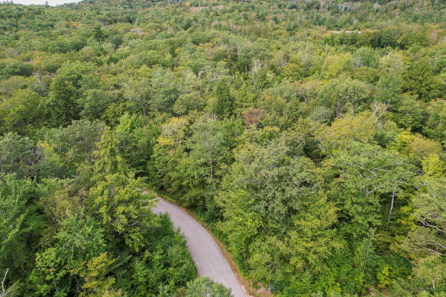 MLS #5058508 image #11