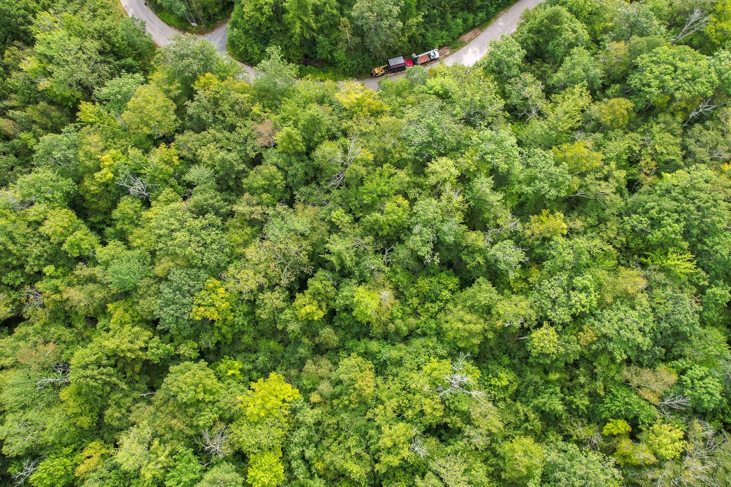 MLS #5058508 image #22