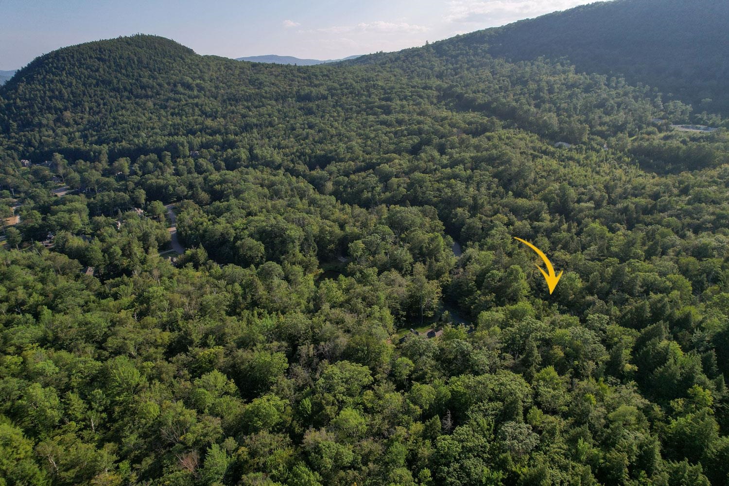 MLS #5058508 image #46