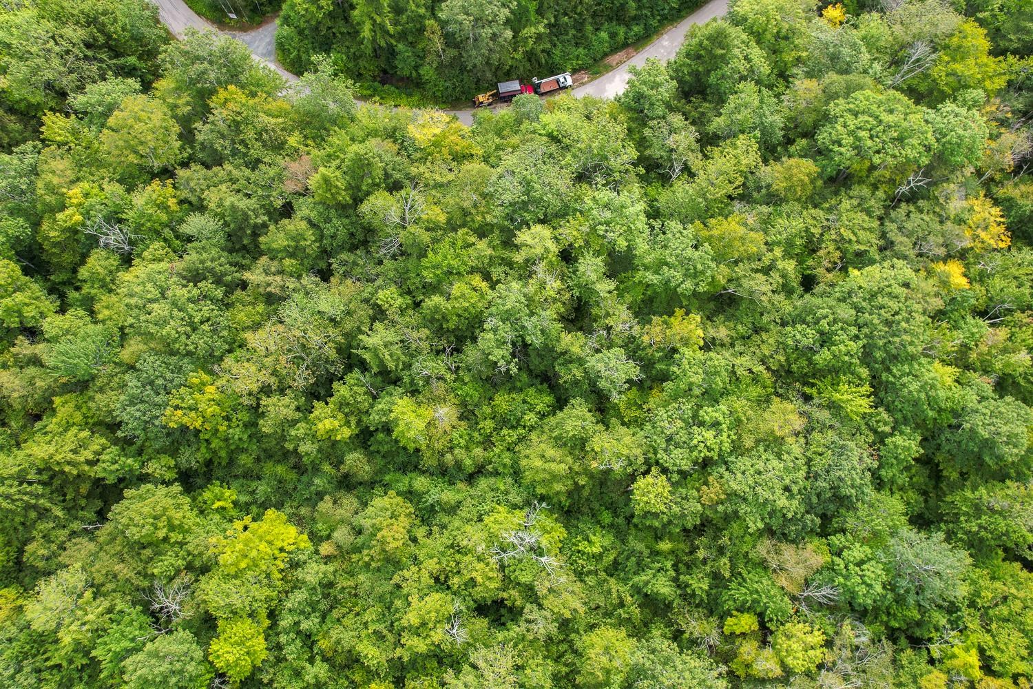 MLS #5058508 image #51