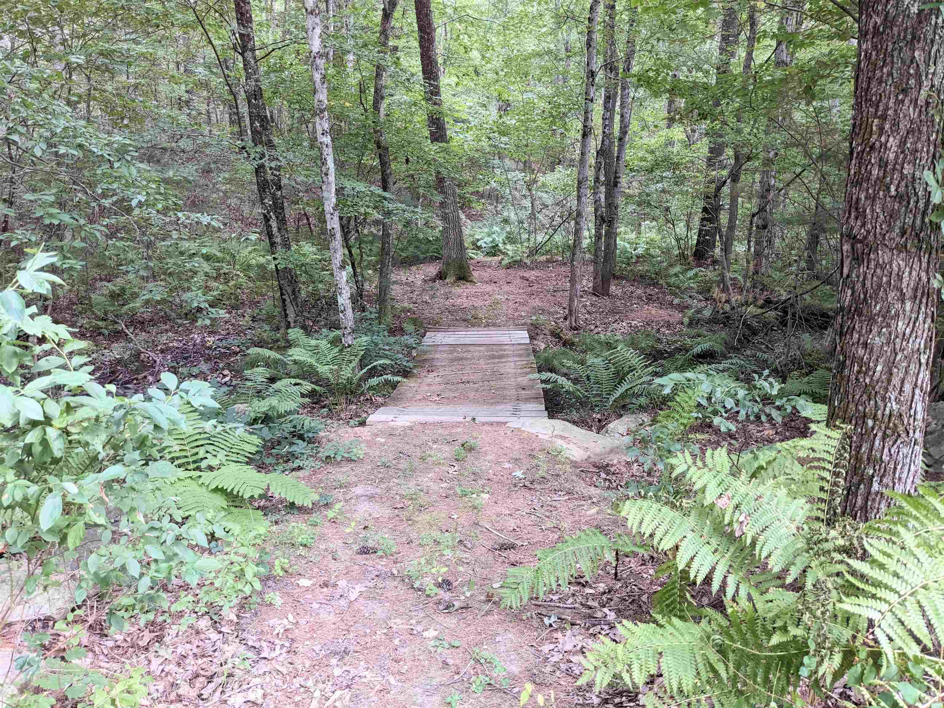 Homes for sale in South Hampton, NH | 155 Chase Rd, South Hampton, NH 03827 | MLS# 5058510