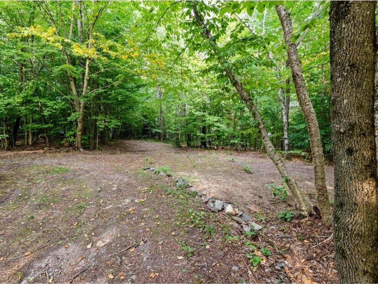 MLS #5058544 image #3