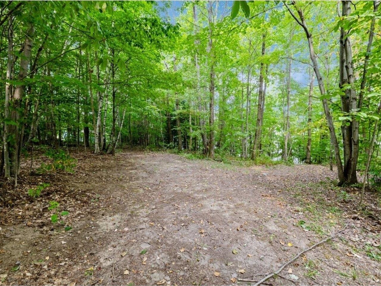 MLS #5058544 image #6