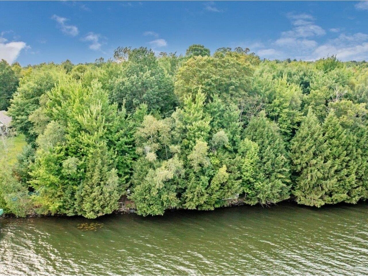 MLS #5058544 image #7