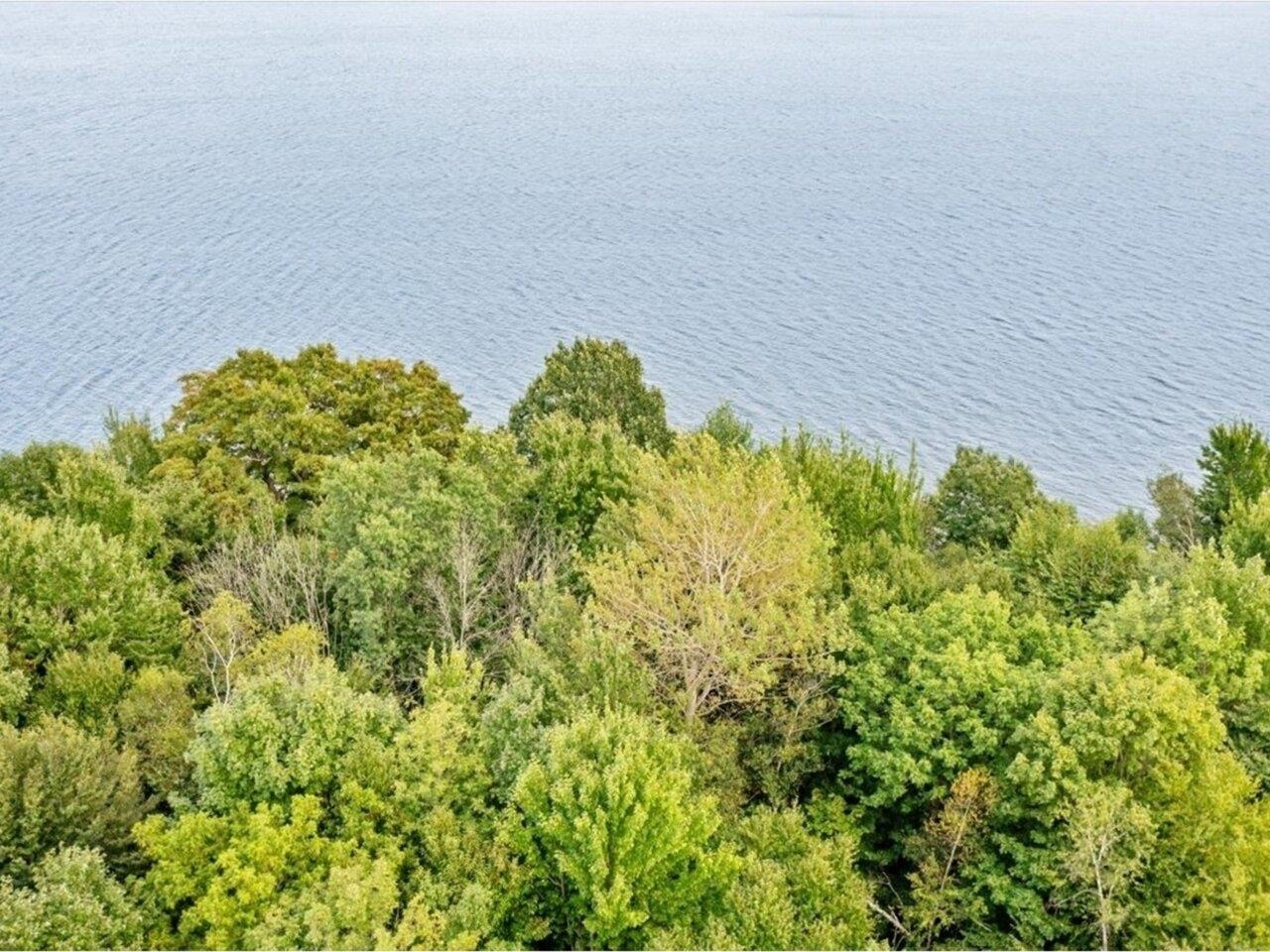 MLS #5058544 image #8