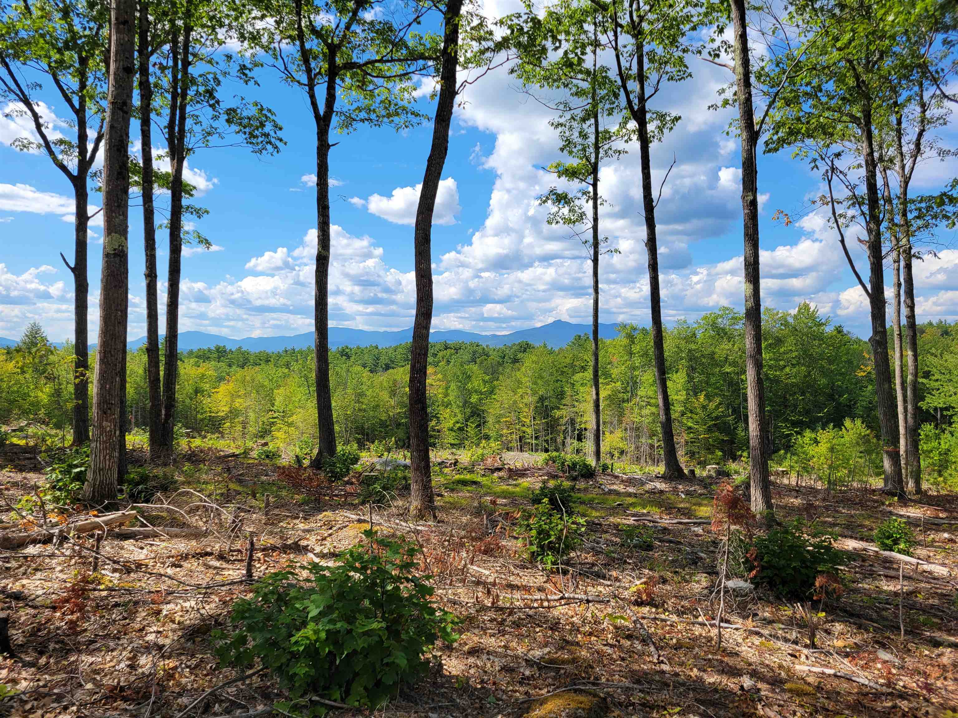 Homes for sale in Madison, NH | 238 1 13 Maple Grove Rd, Madison, NH 03849 | MLS# 5058762