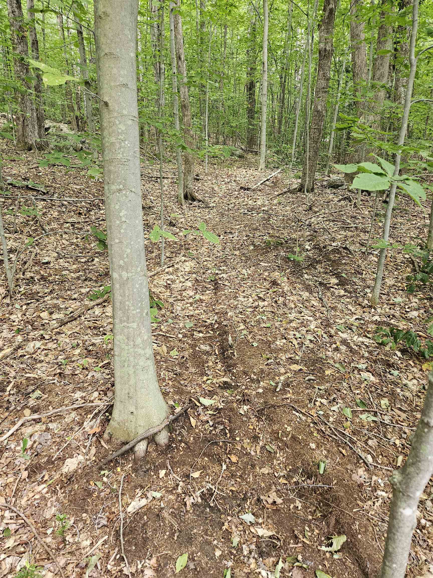 MLS #5058781 image #3