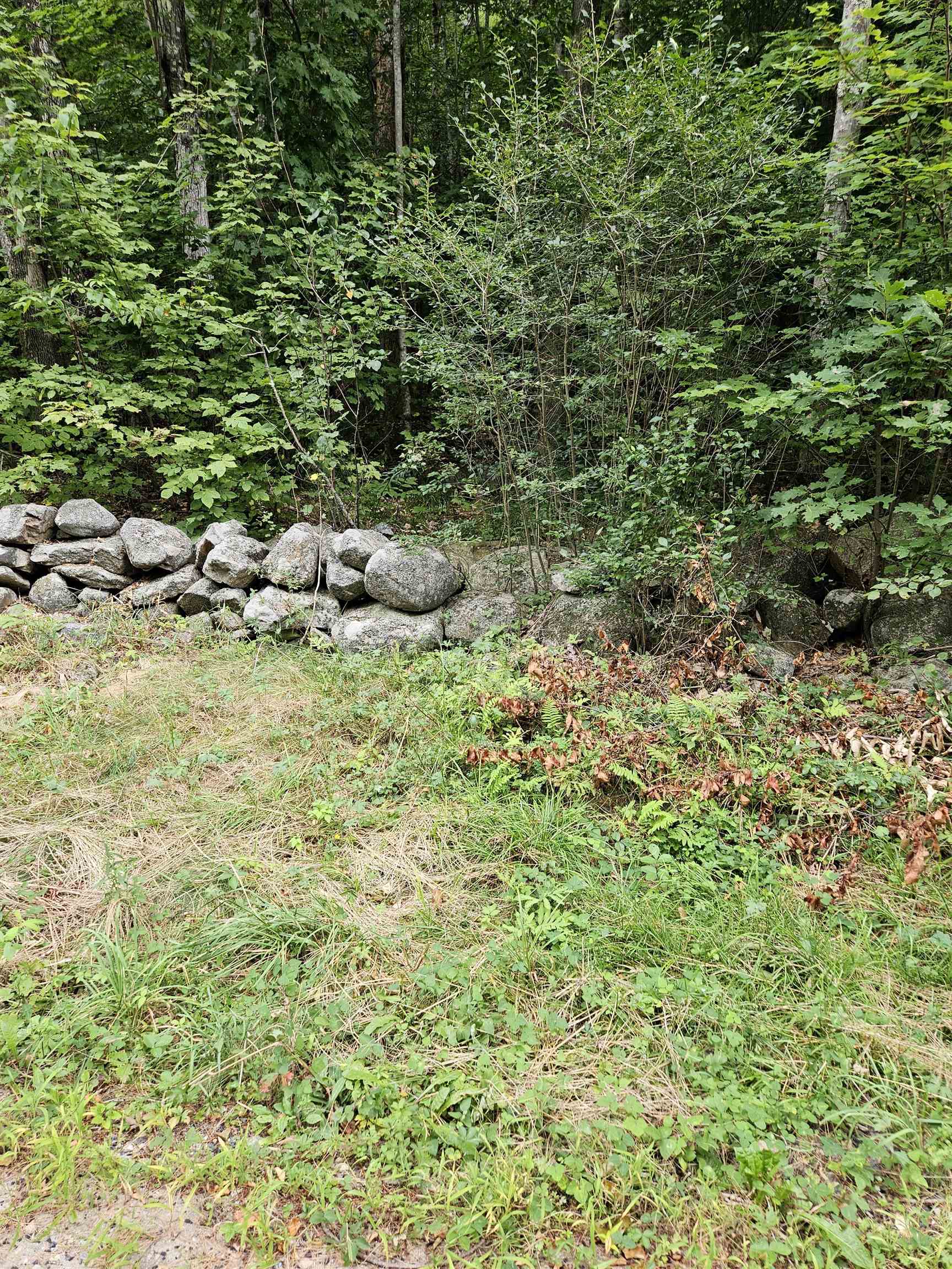 MLS #5058781 image #5