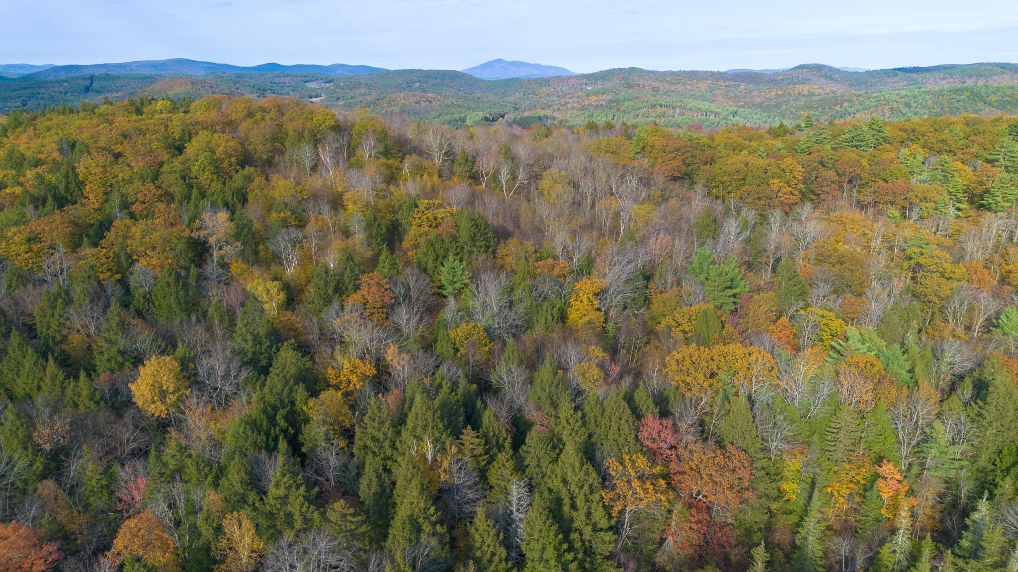 Homes for sale in Chester, VT | 1175 Quarry Rd, Chester, VT 05143 | MLS# 5058824
