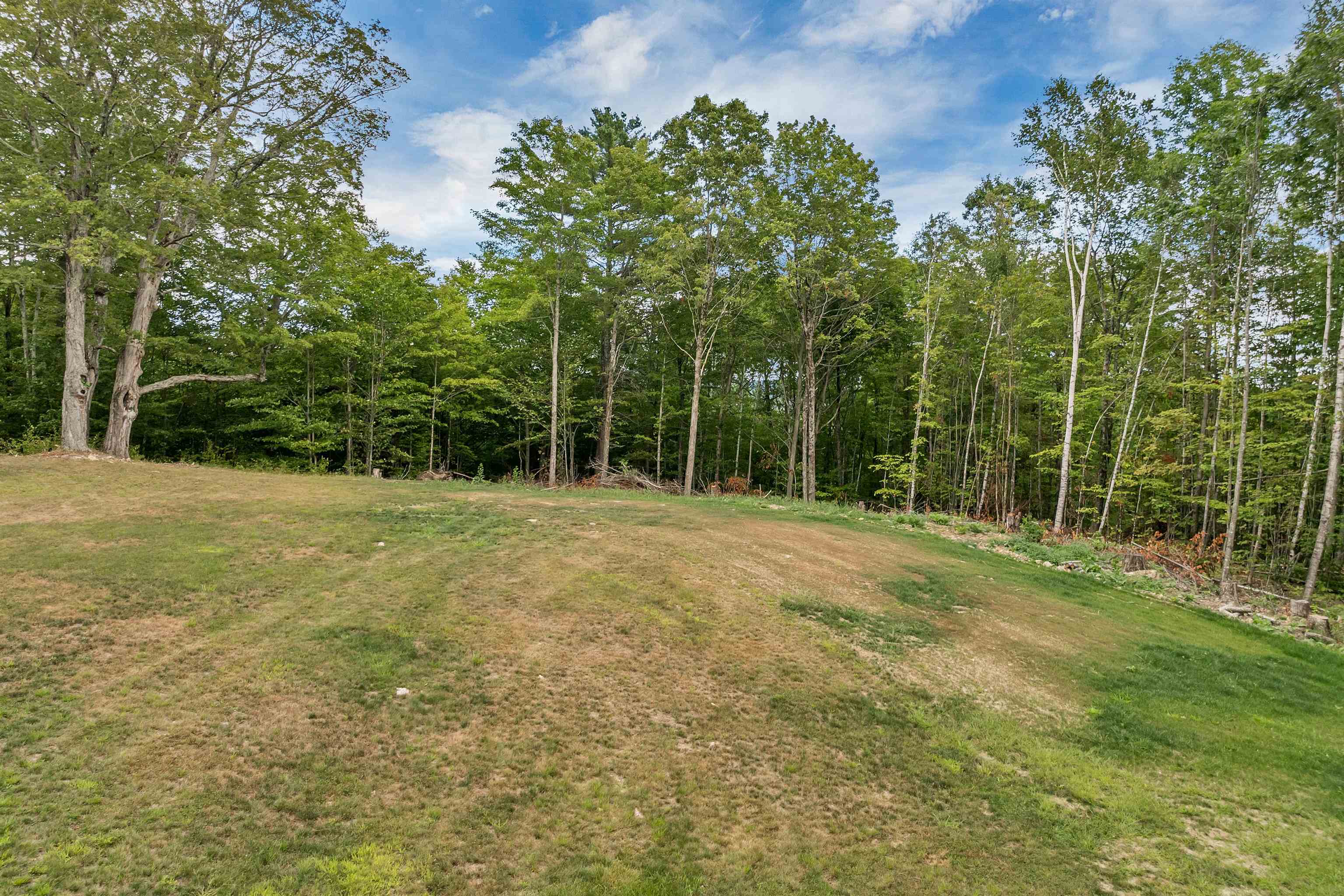 newly seeded and sculpted yard