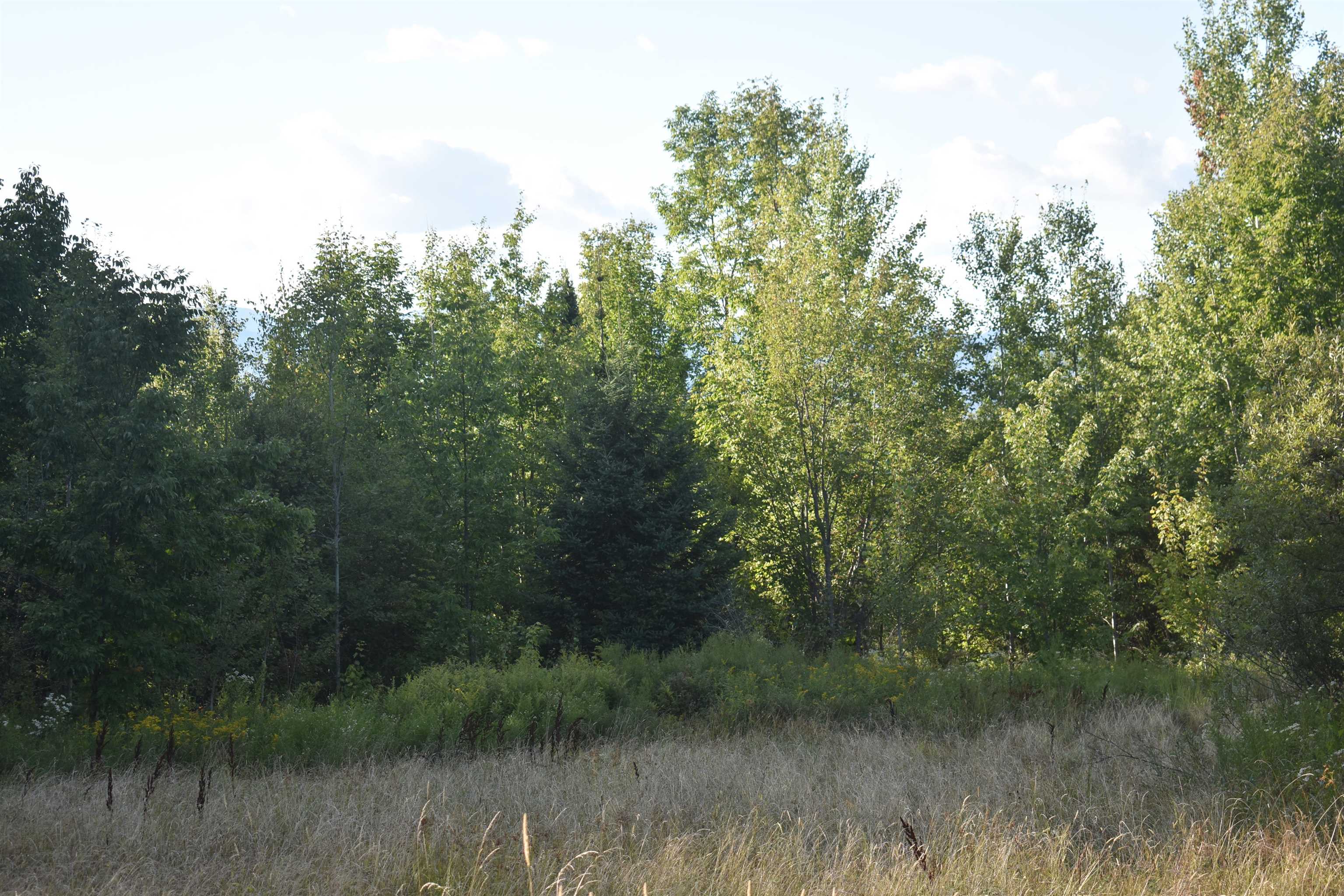 Homes for sale in Lowell, VT | Rt 58 Rt 58 Rd, Lowell, VT 05847 | MLS# 5058957