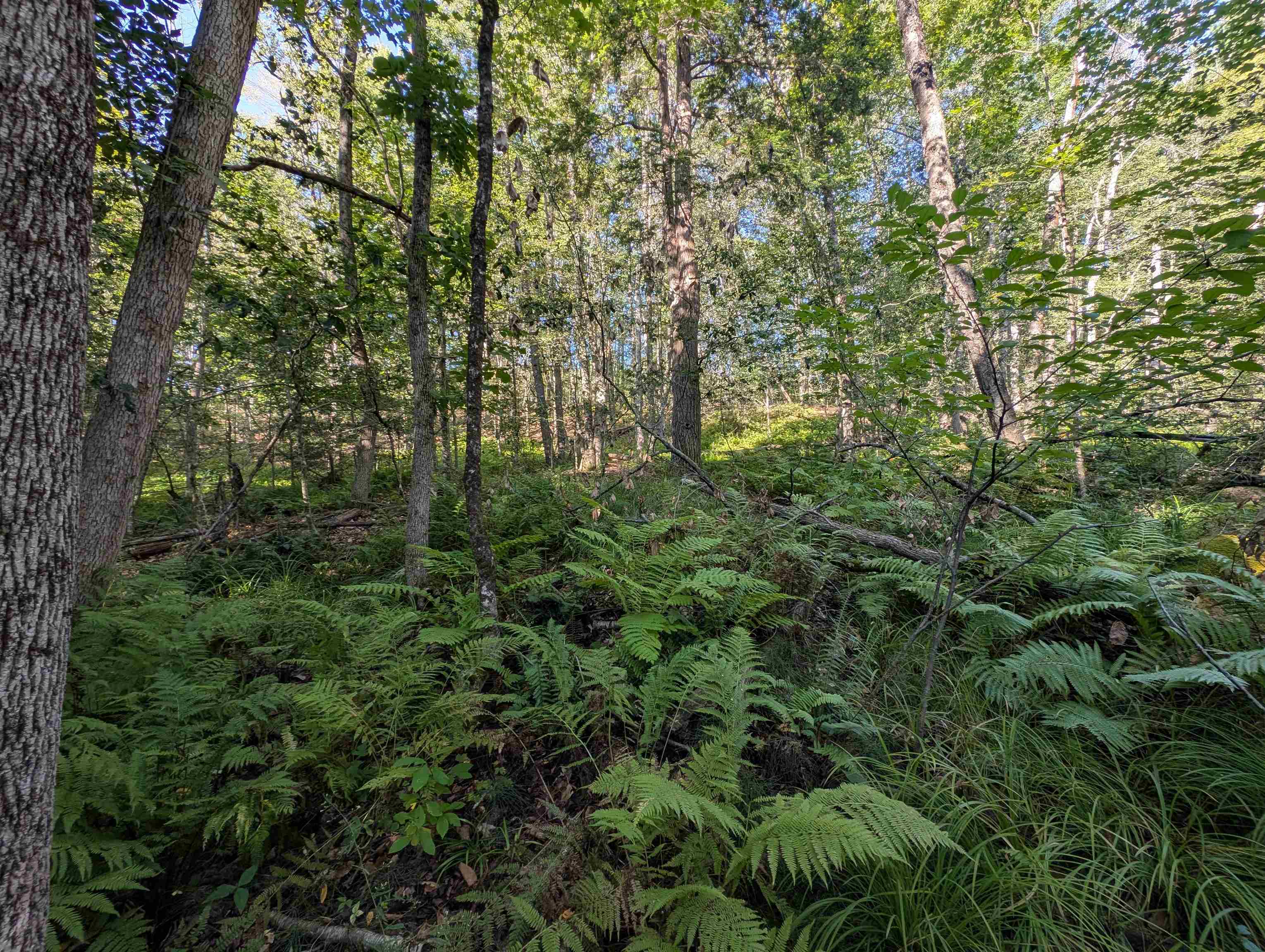 008-043-001 School House Rd, Francestown, NH 03043