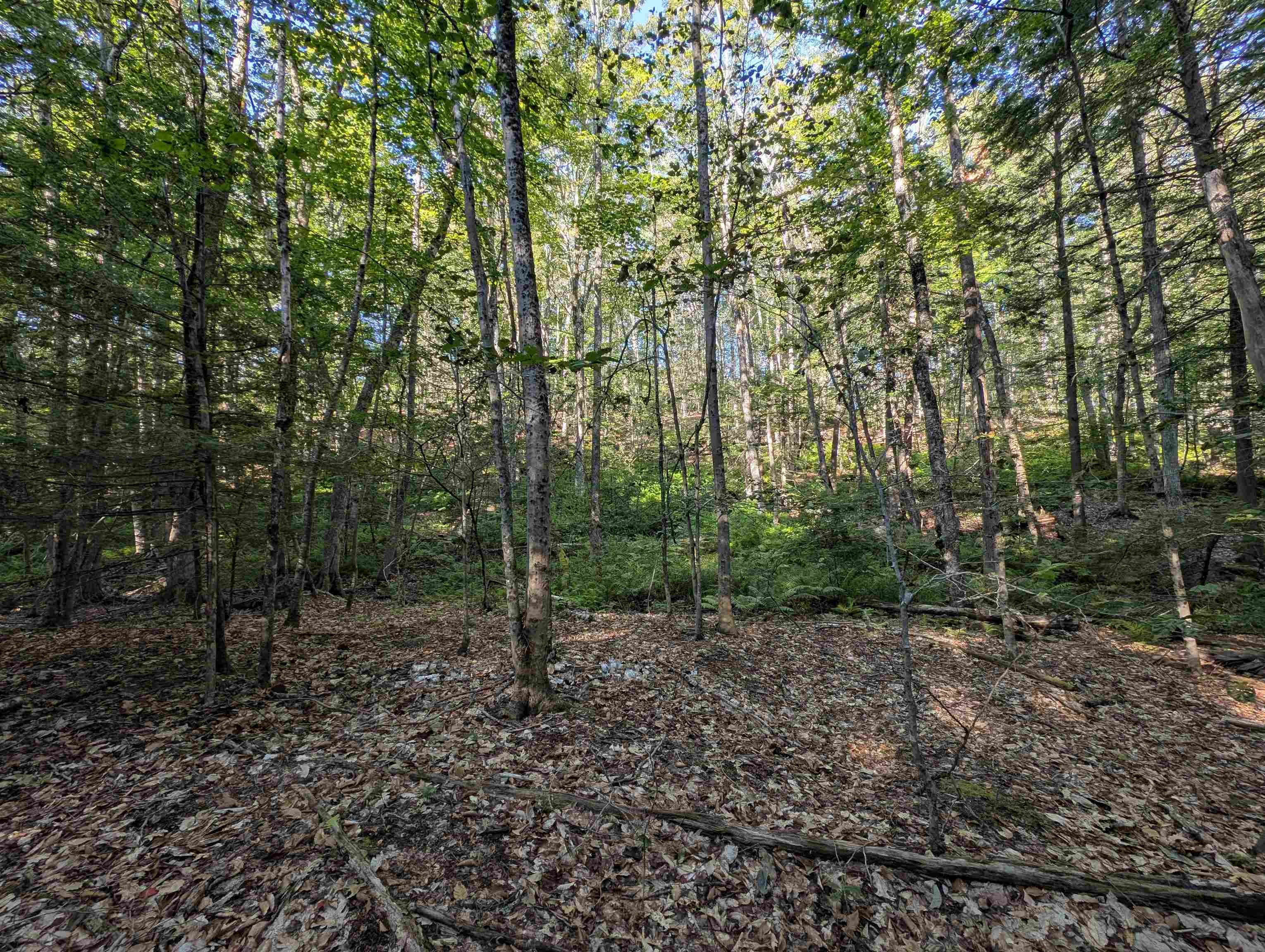 008-043-001 School House Rd, Francestown, NH 03043