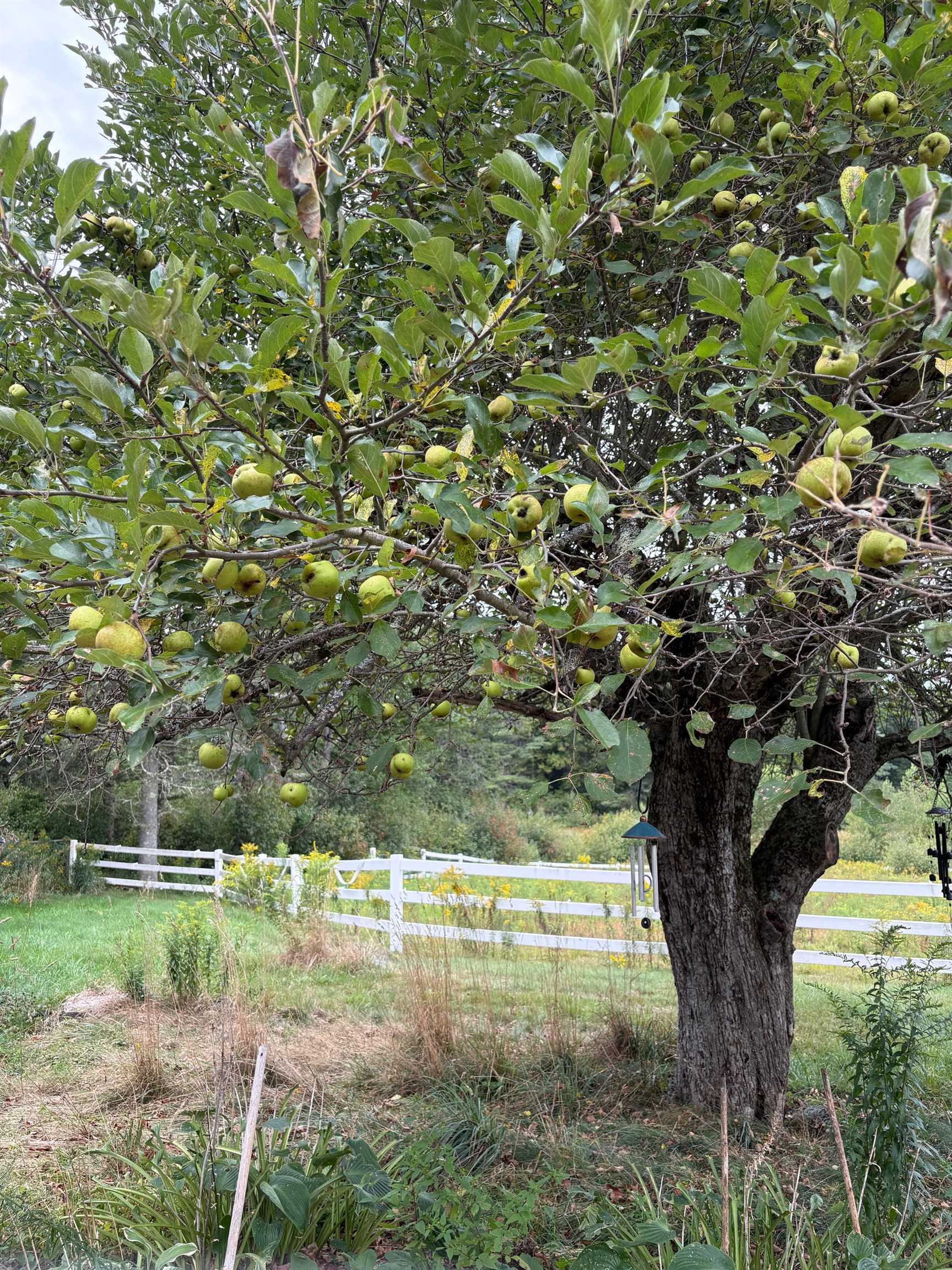 Jaffrey NH Home for sale $$429,000 $314 per sq.ft.