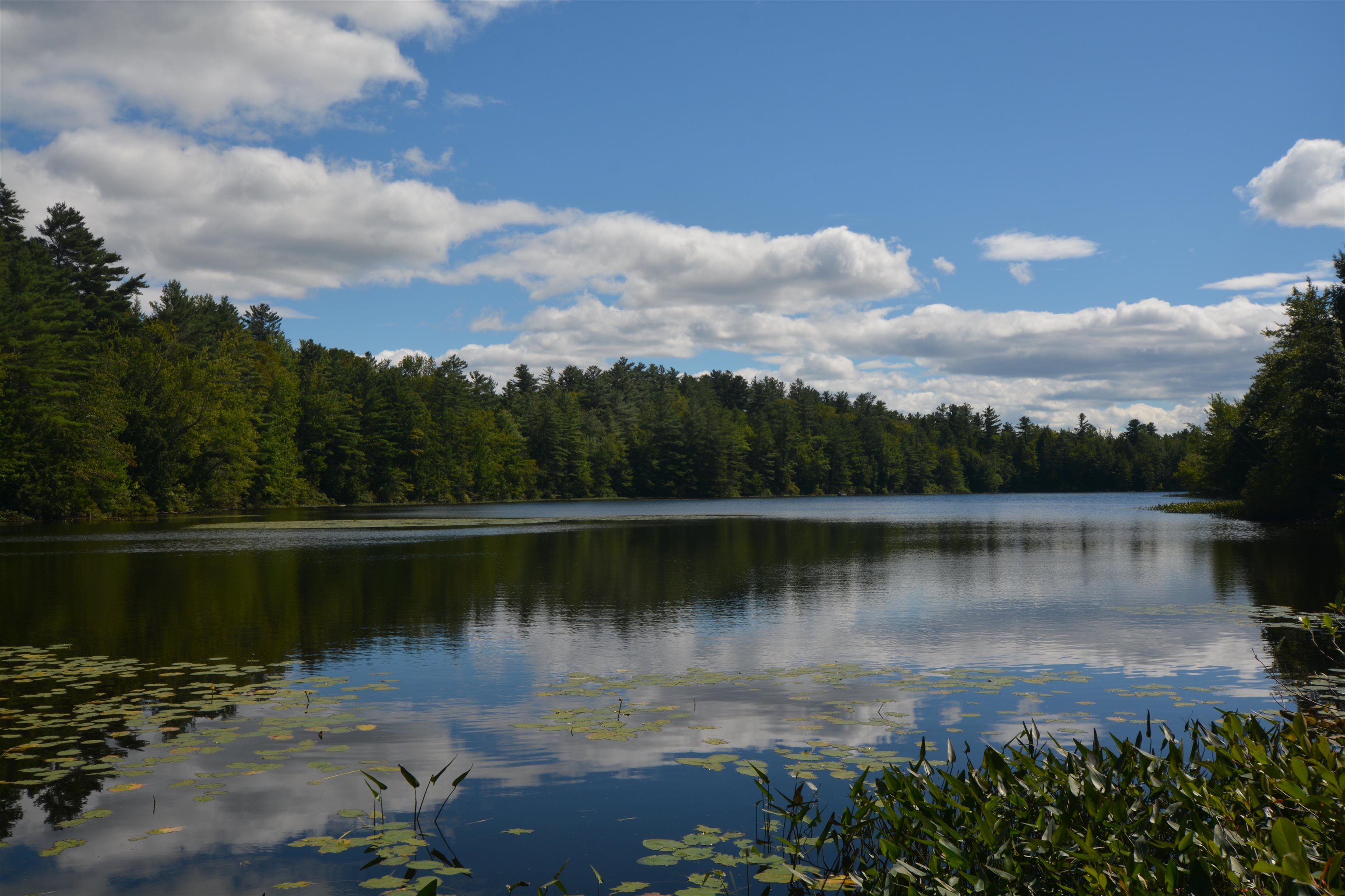 VILLAGE OF EASTMAN IN TOWN OF GRANTHAM NH Lake House for sale $$525,000 | $164 per sq.ft.