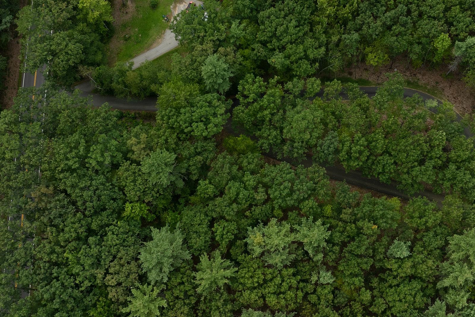 MLS #5059081 image #19