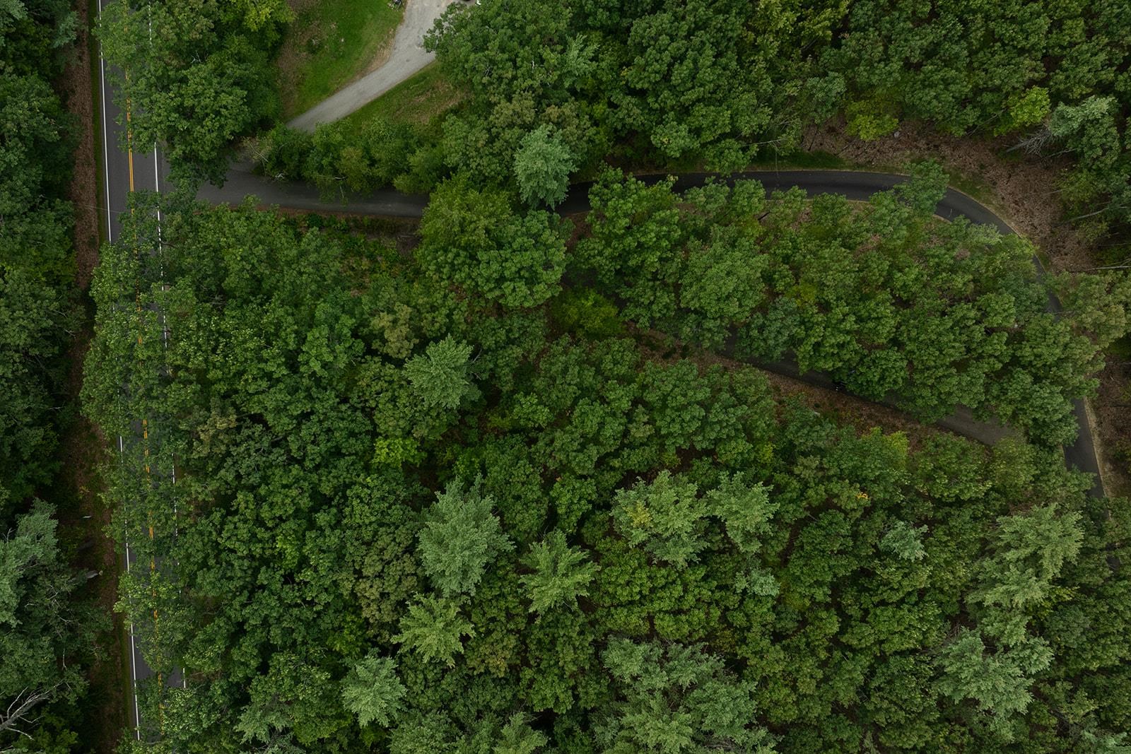 MLS #5059081 image #20