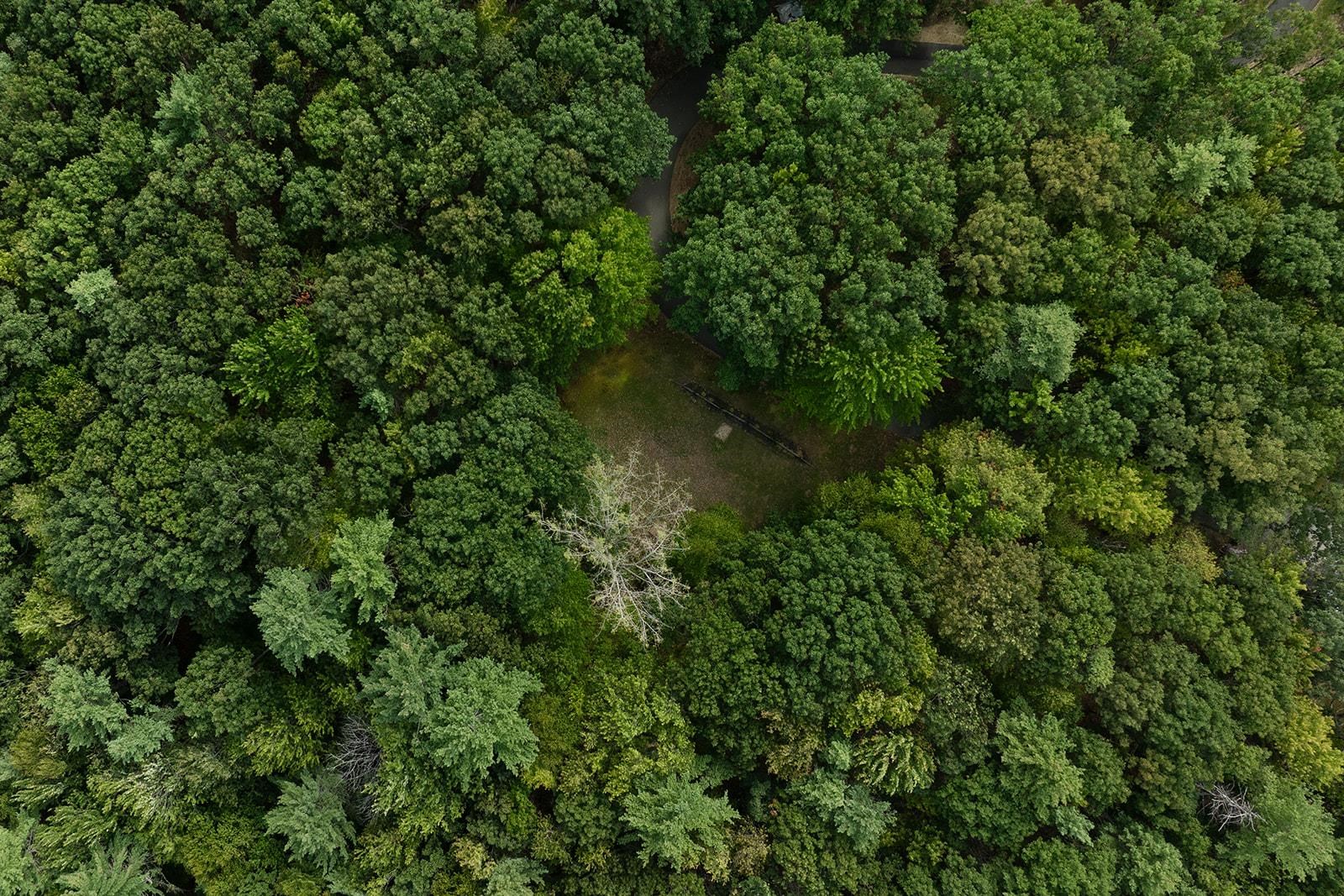 MLS #5059081 image #7