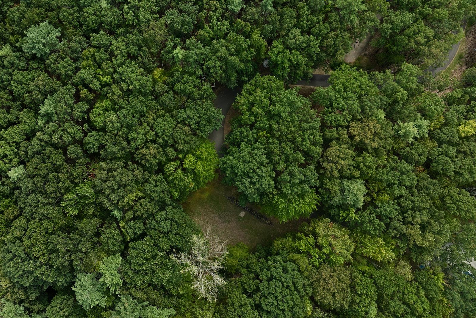 MLS #5059081 image #8