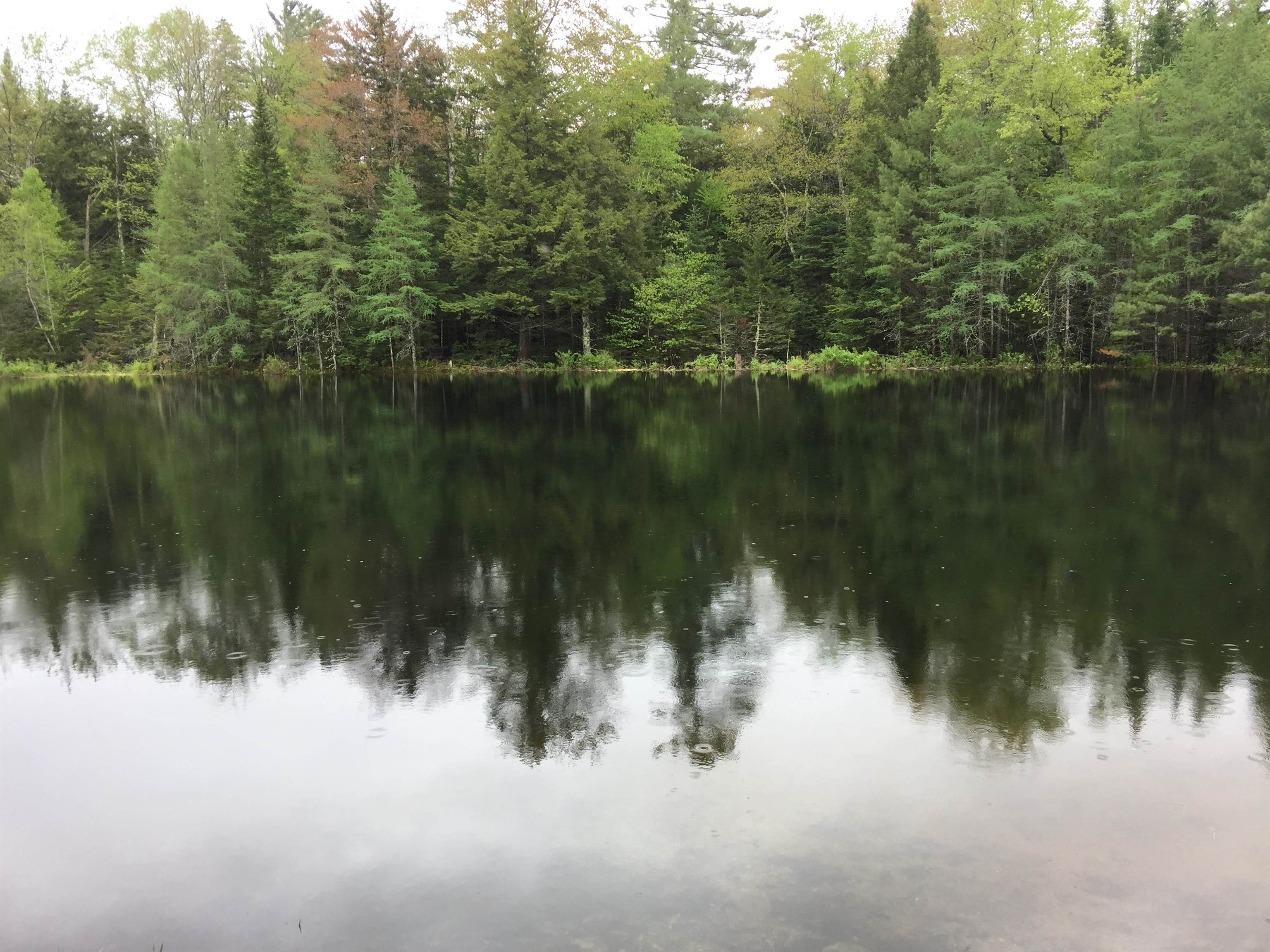 MLS #5059086 image #53