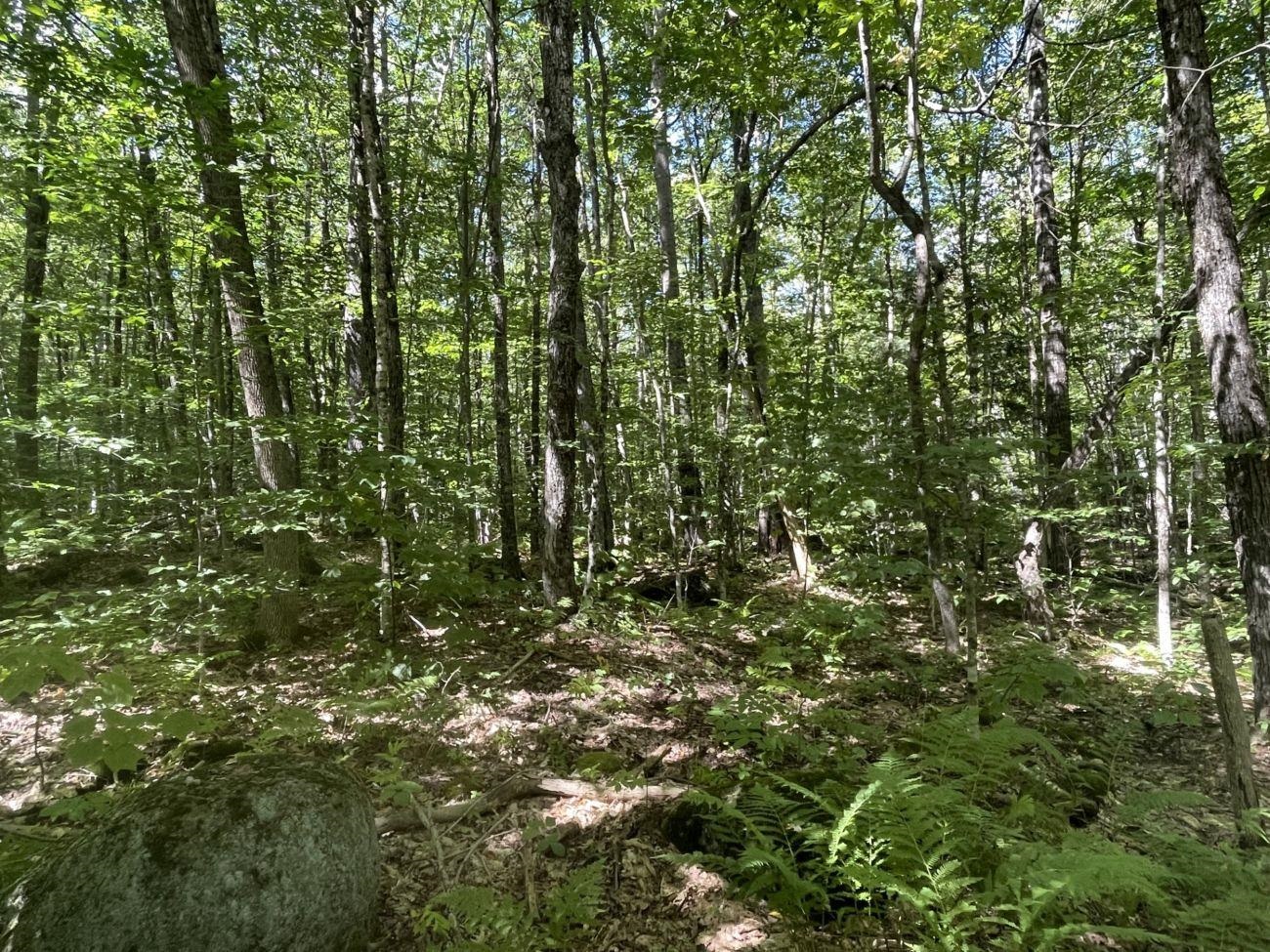 00 Scenic Dr, Stoddard, NH 03464