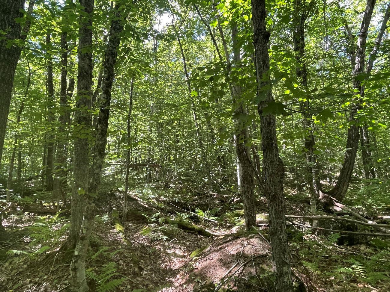 00 Scenic Dr, Stoddard, NH 03464